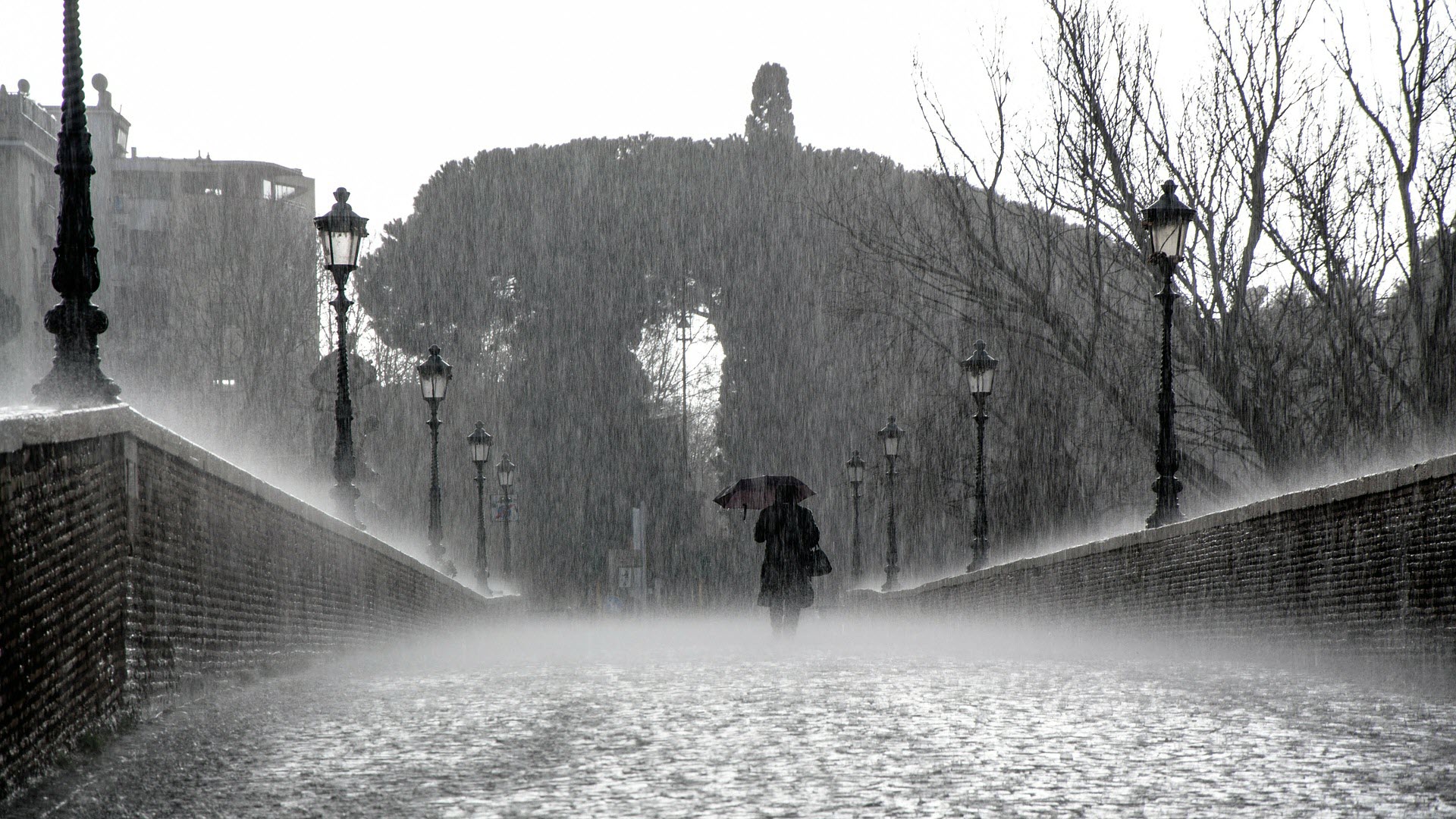 Rainy Road Wallpapers