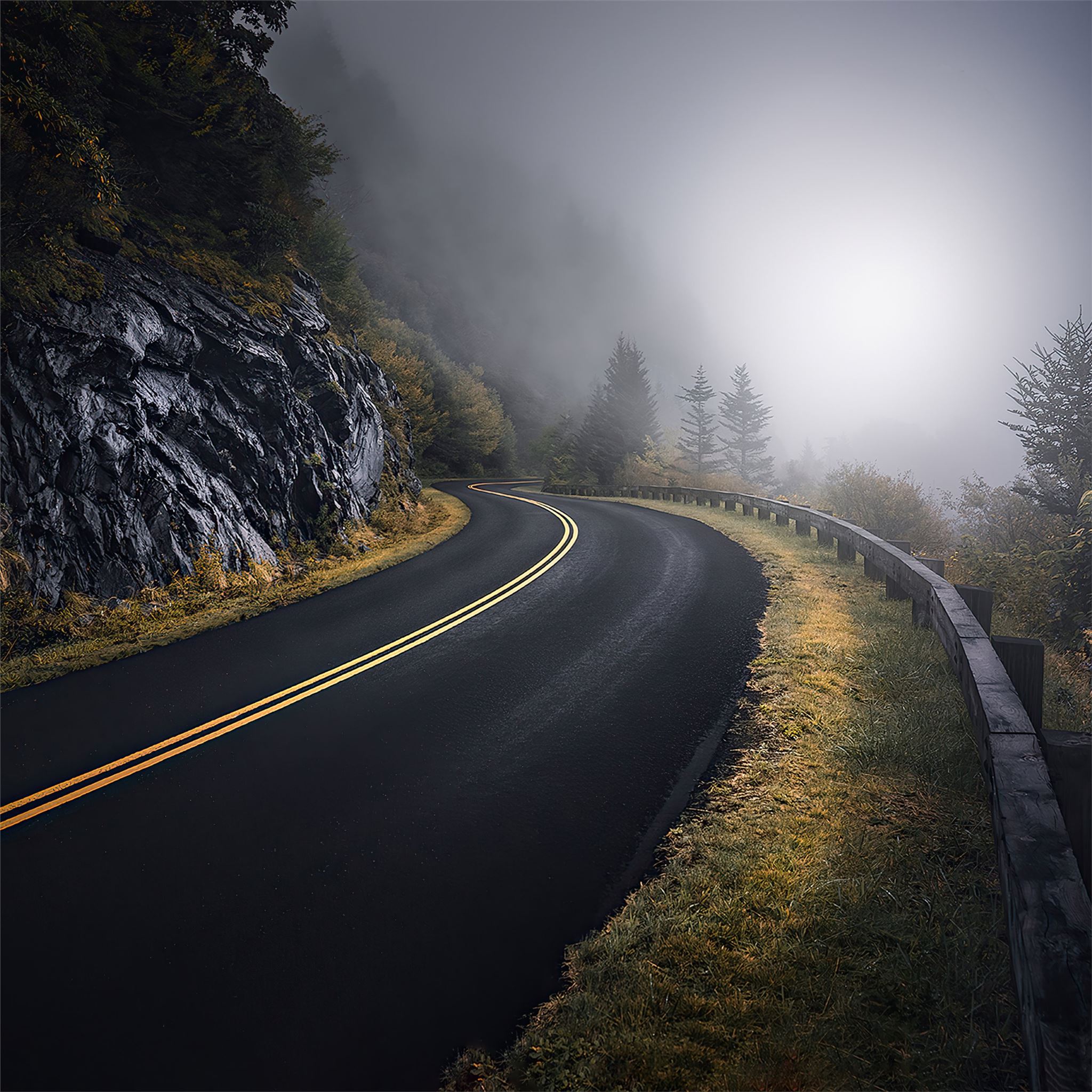 Rainy Road Wallpapers