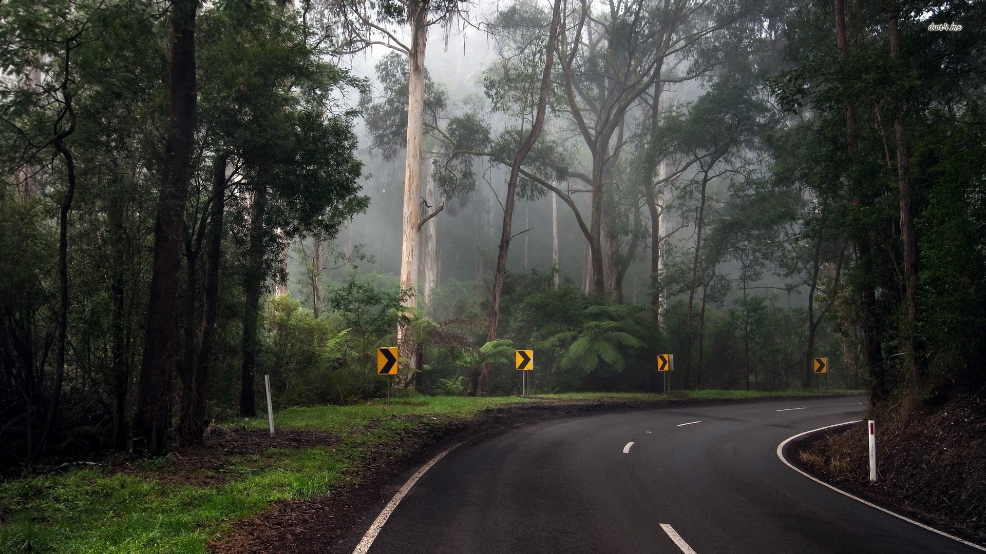 Rainy Road Wallpapers