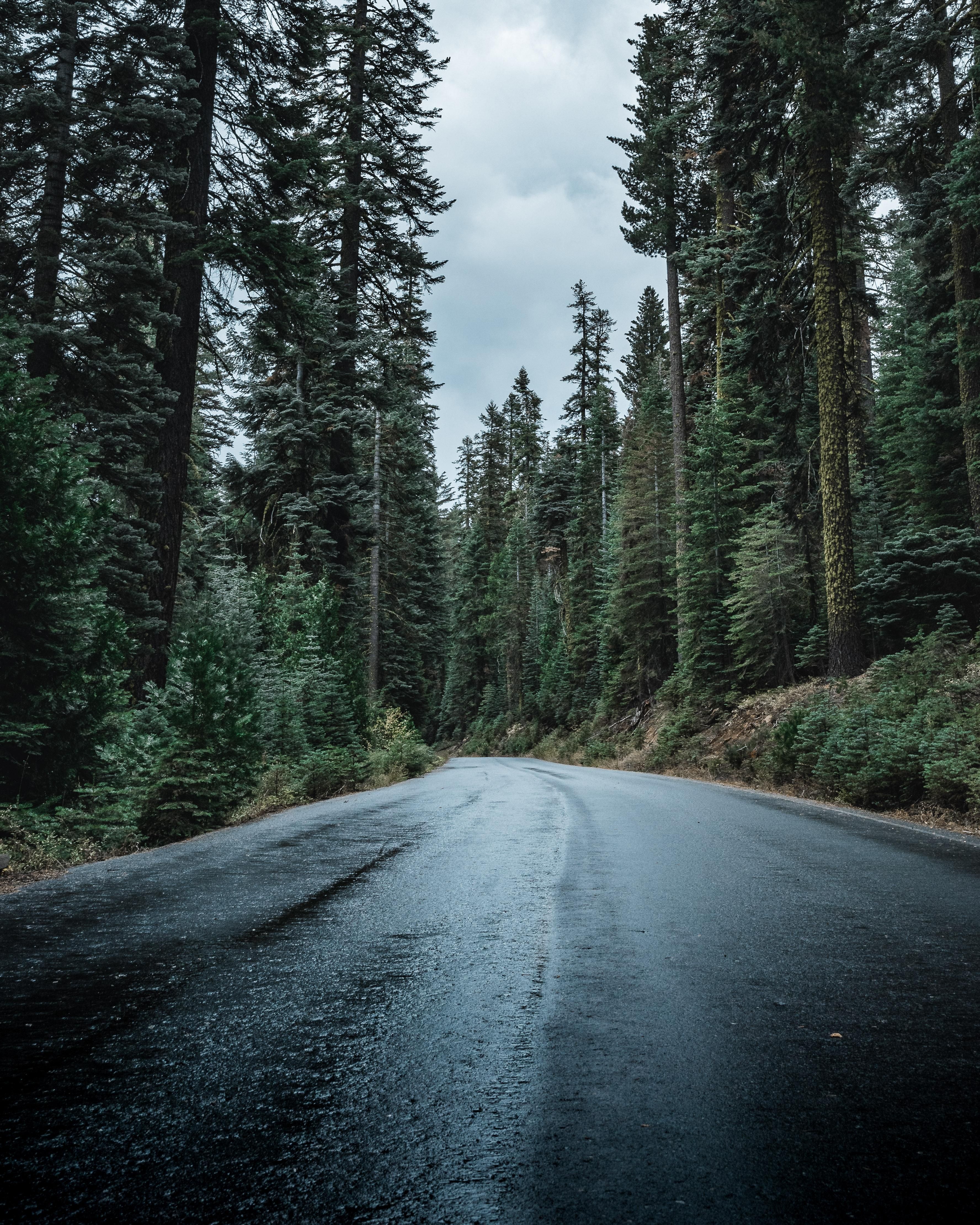 Rainy Road Wallpapers