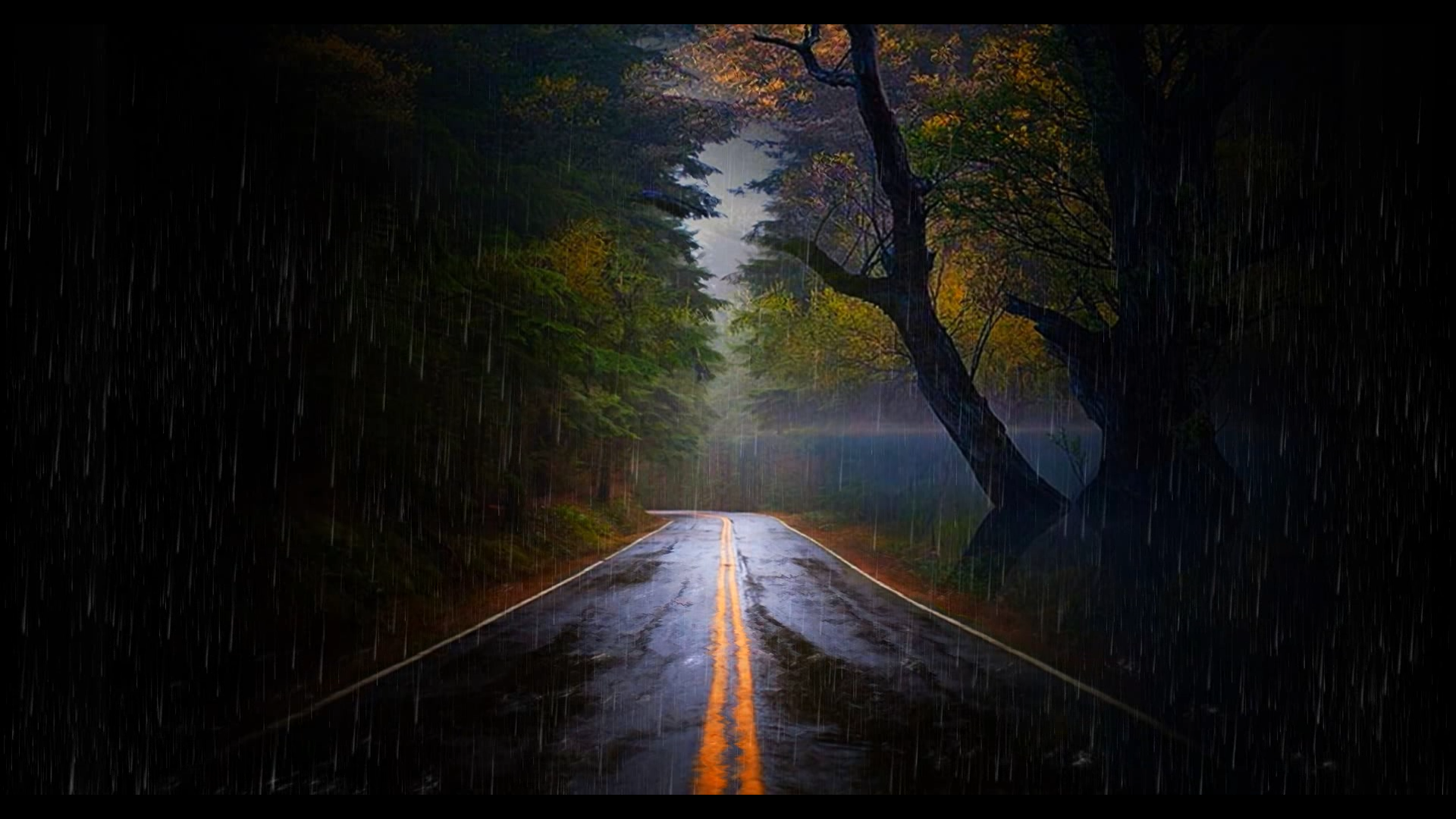 Rainy Road Wallpapers