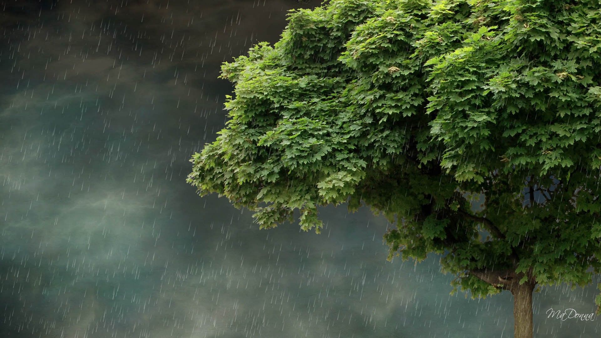 Rainy Scenery Wallpapers