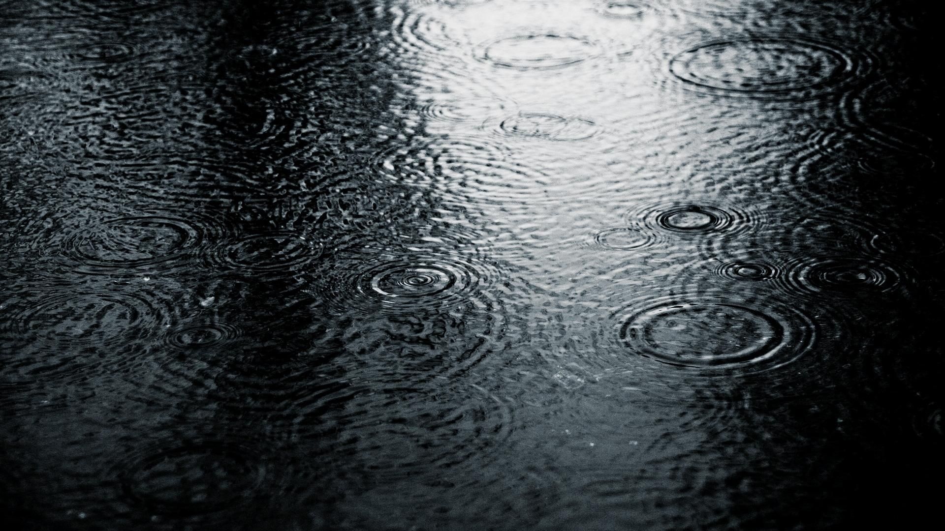 Rainy Spring Wallpapers