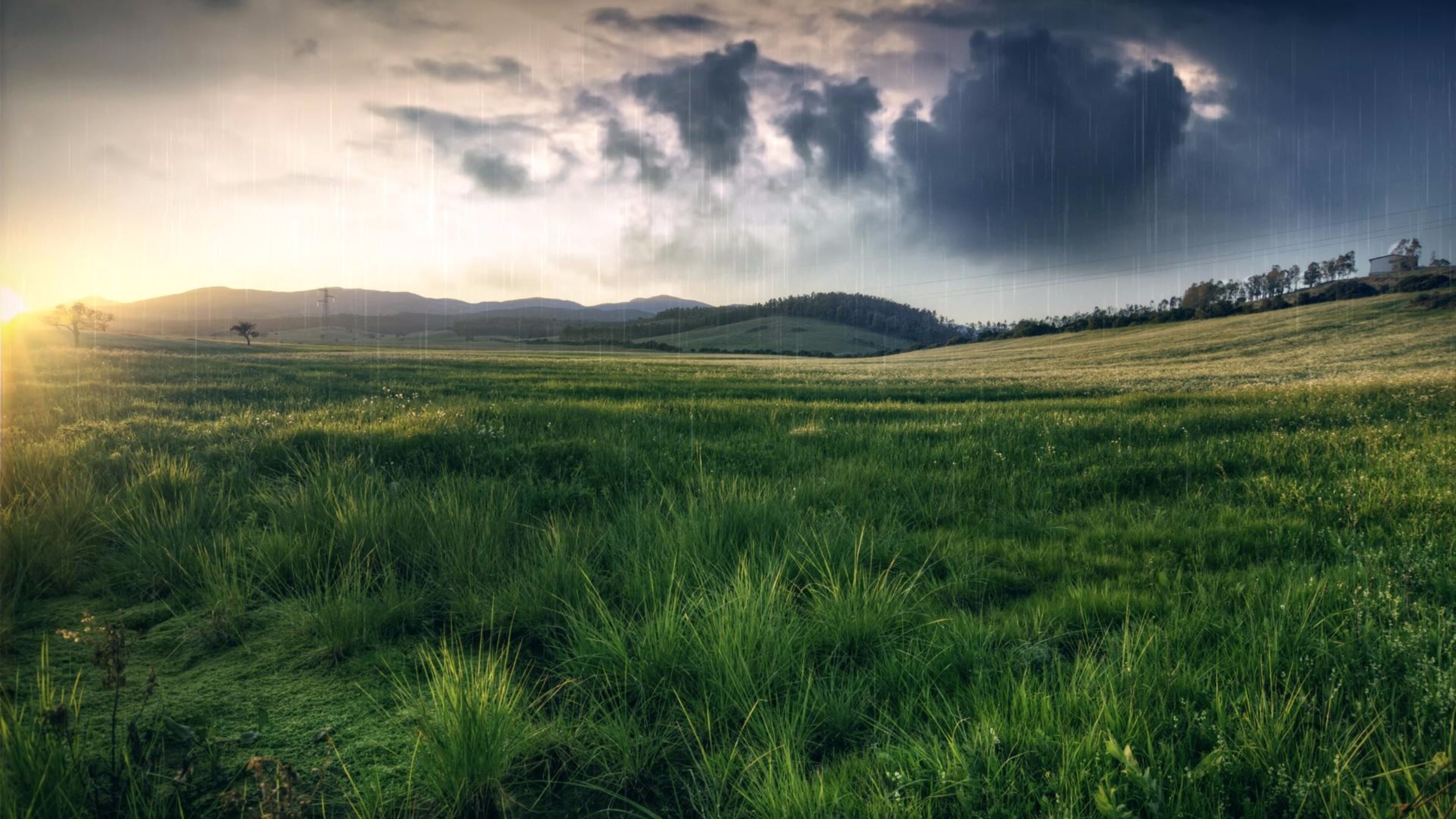 Rainy Spring Wallpapers