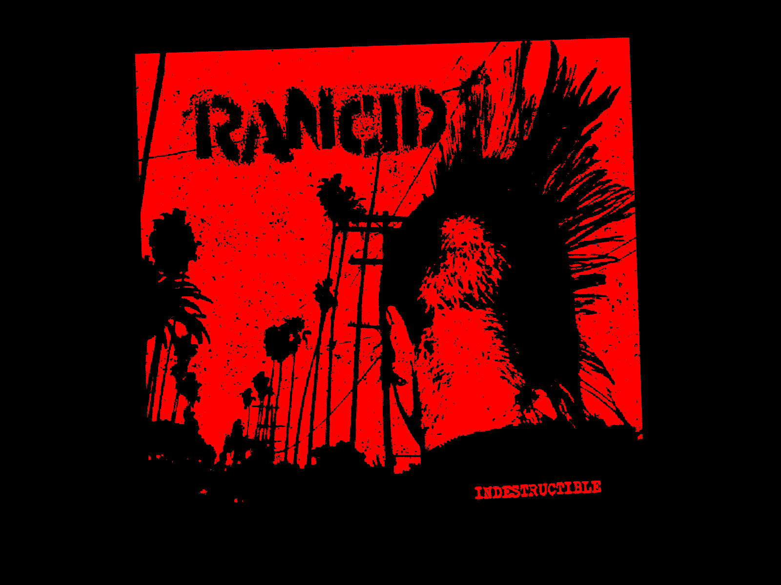 Rancid Wallpapers