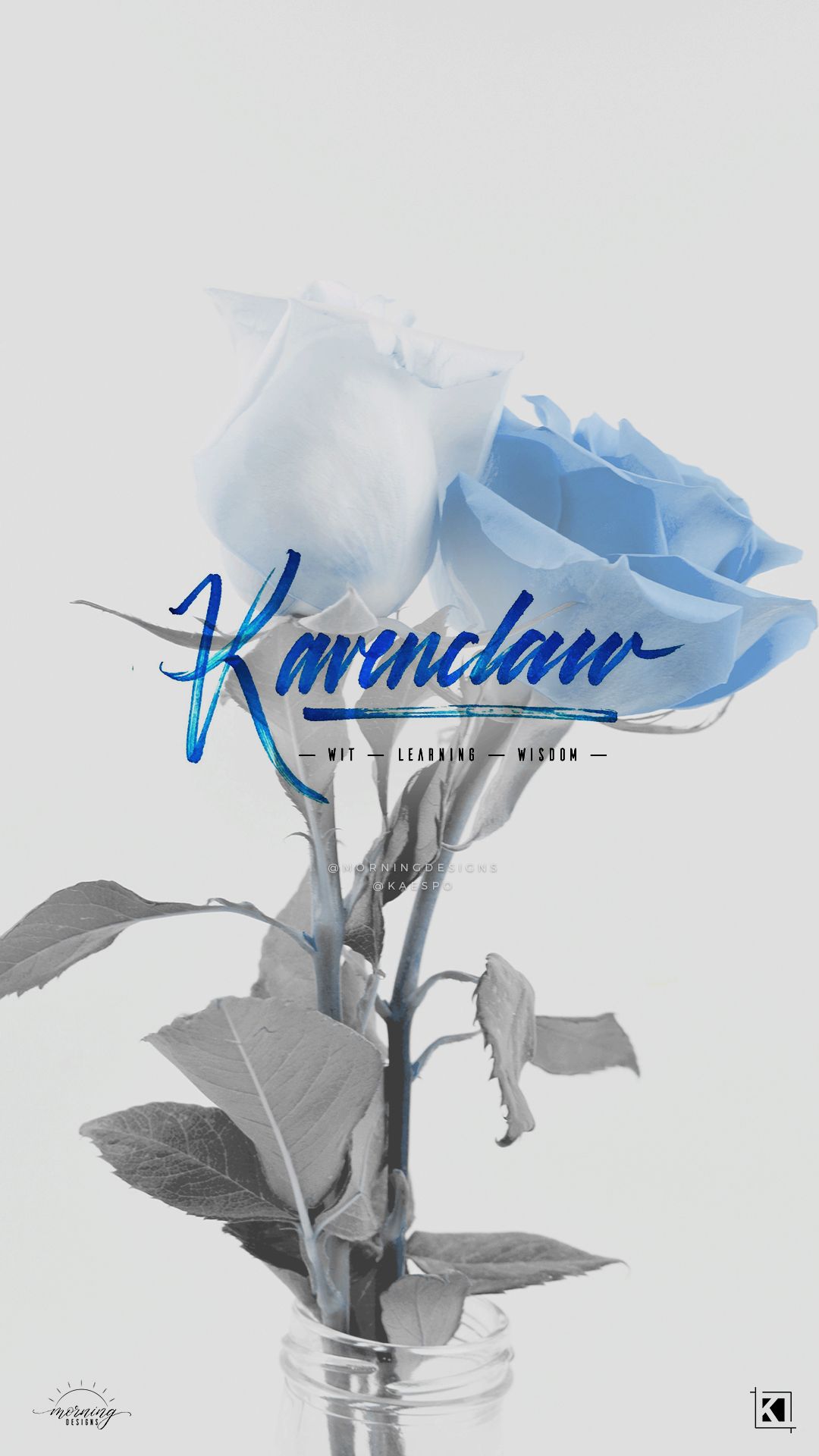 Ravenclaw Aesthetic Wallpapers