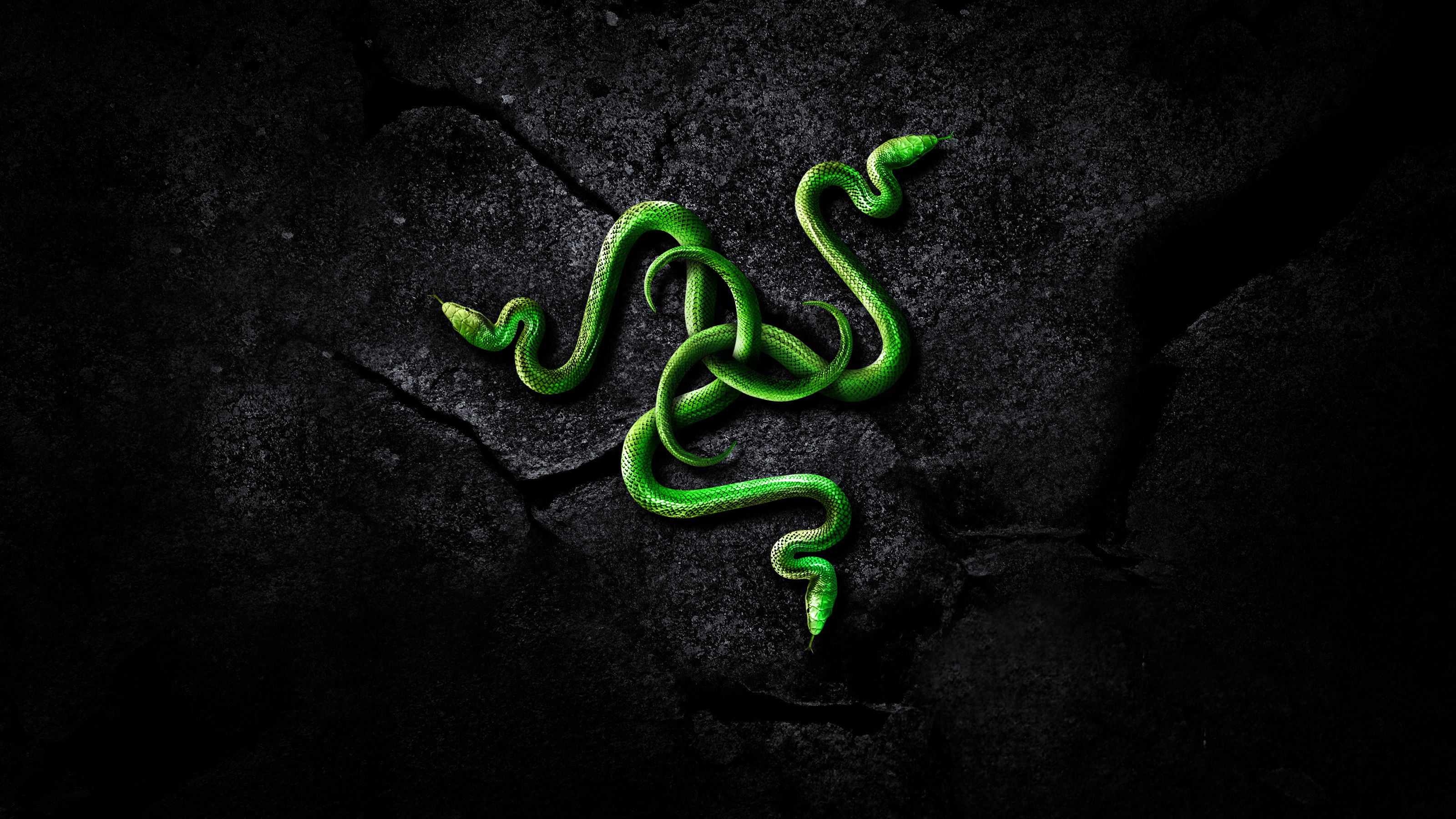 Razer Blade Stealth Wallpapers