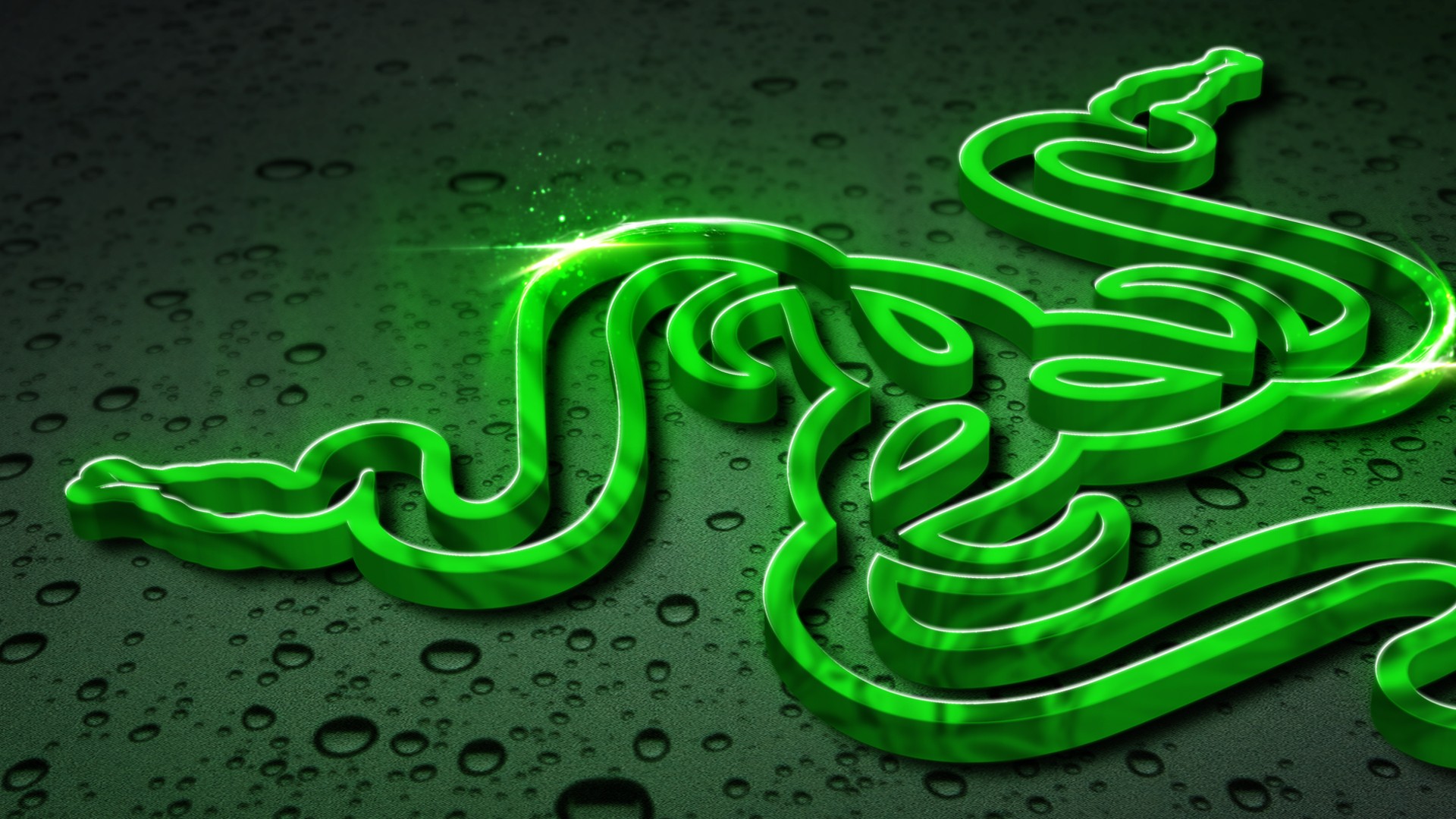 Razer Logo 1920X1080 Wallpapers