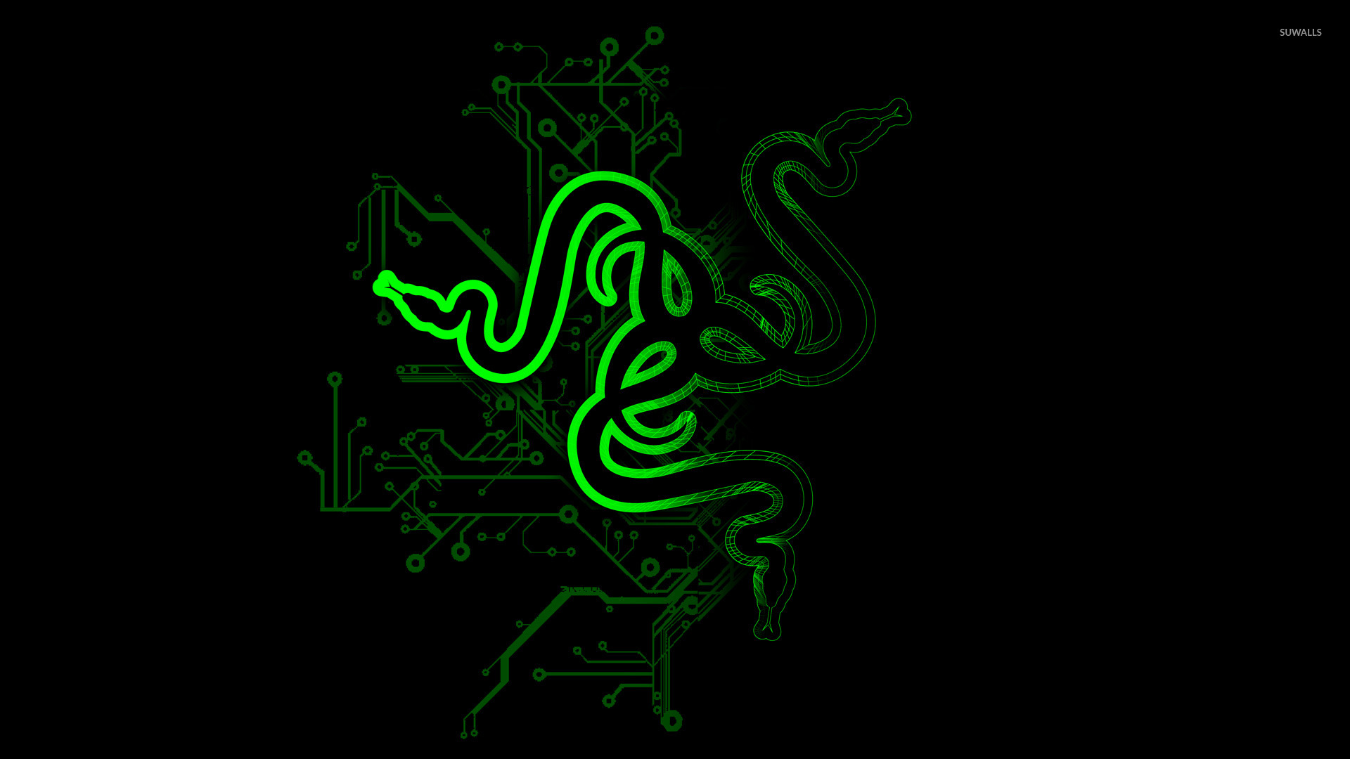 Razer Logo 1920X1080 Wallpapers