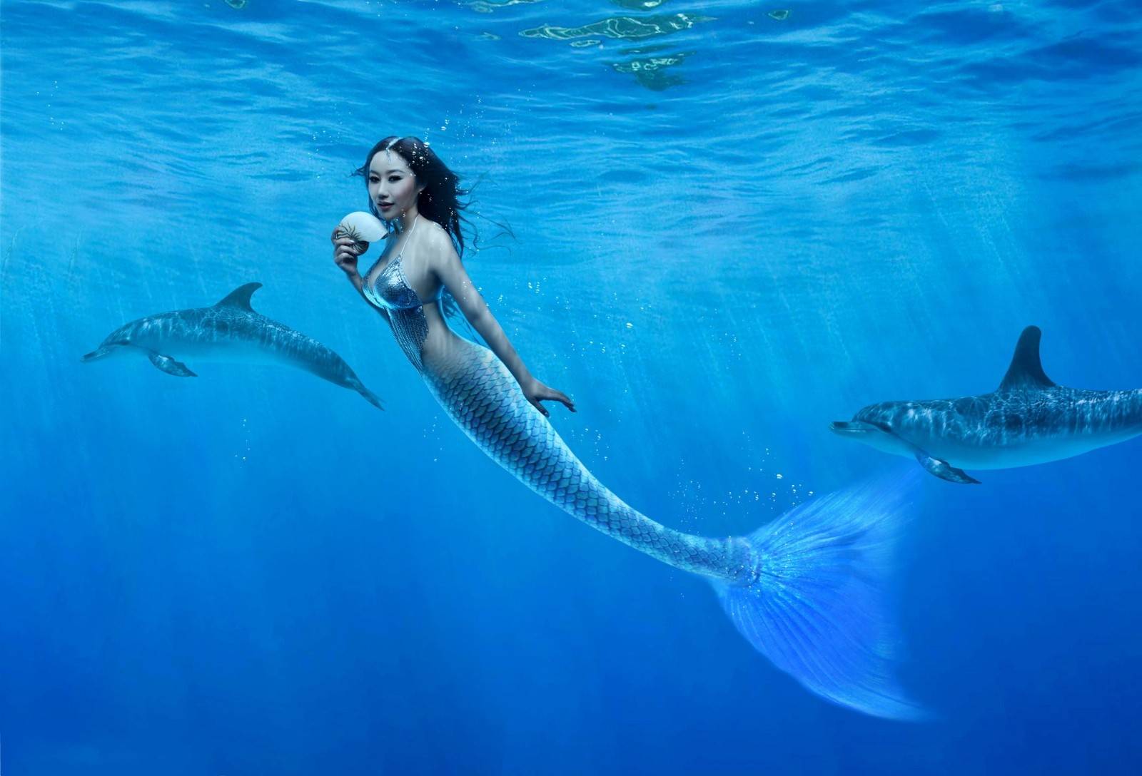 Real Mermaid Photos Wallpapers