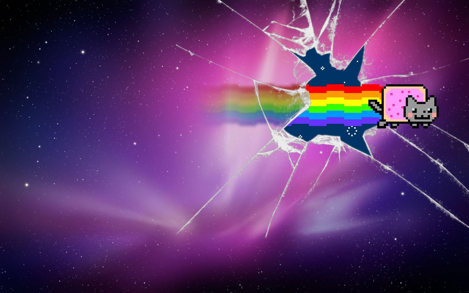 Real Rainbow Cat Wallpapers