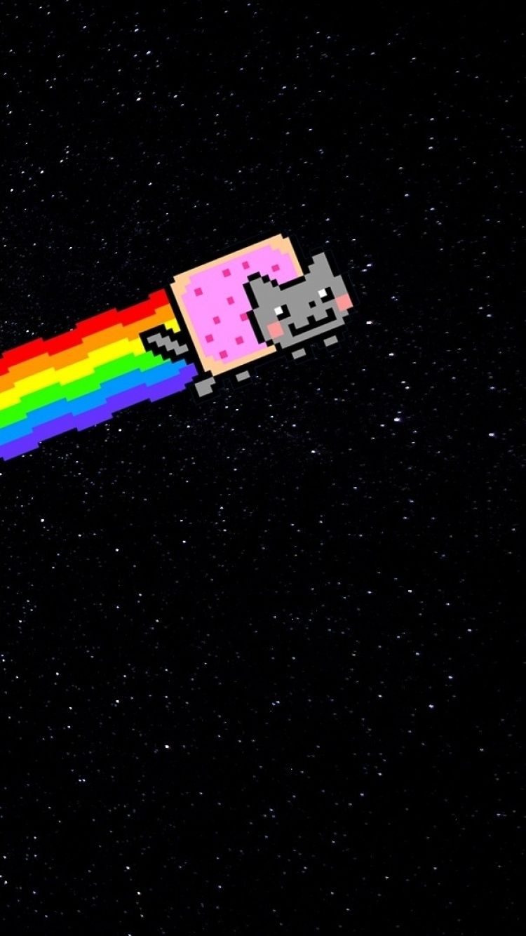 Real Rainbow Cat Wallpapers