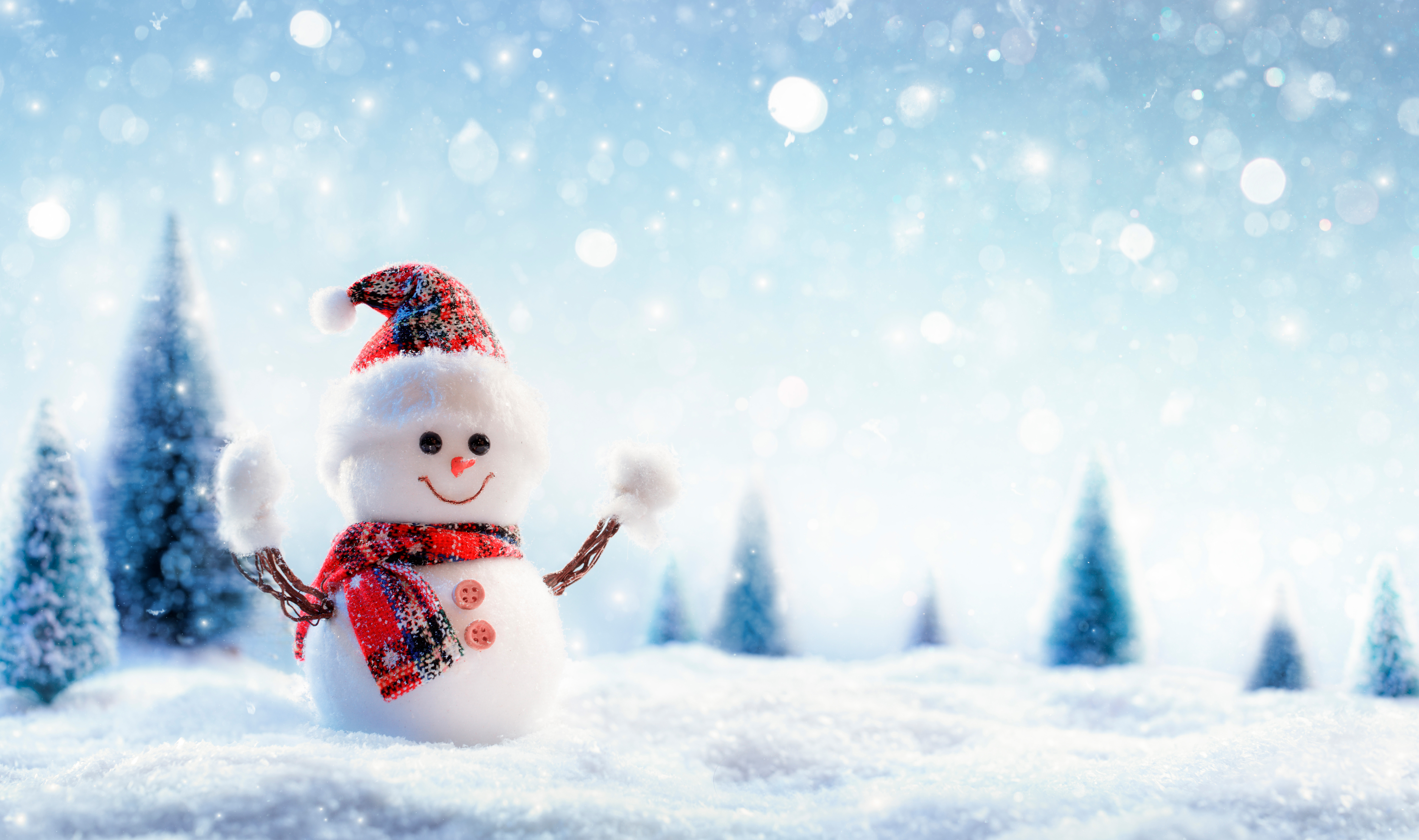 Real Snowman Wallpapers