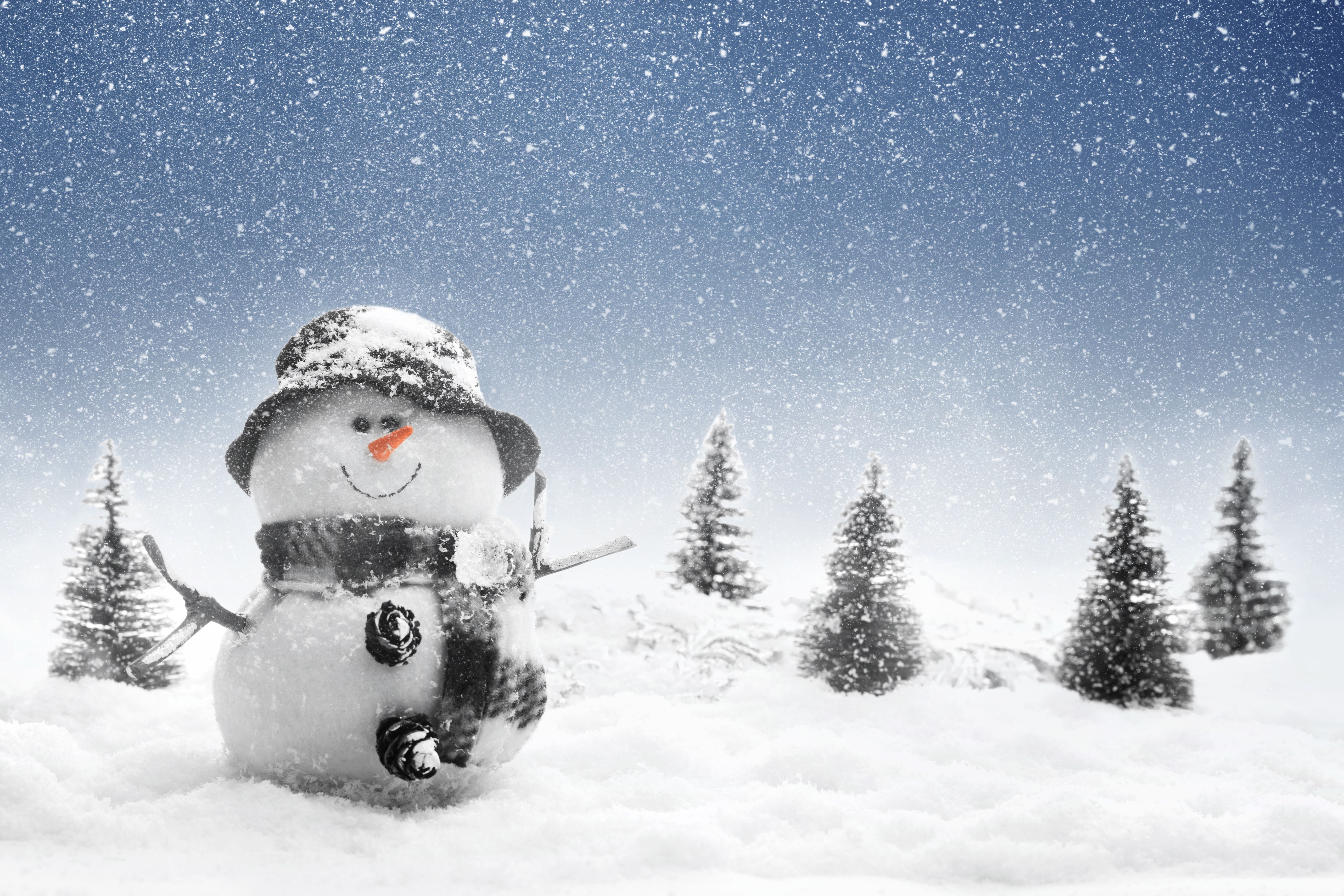 Real Snowman Wallpapers