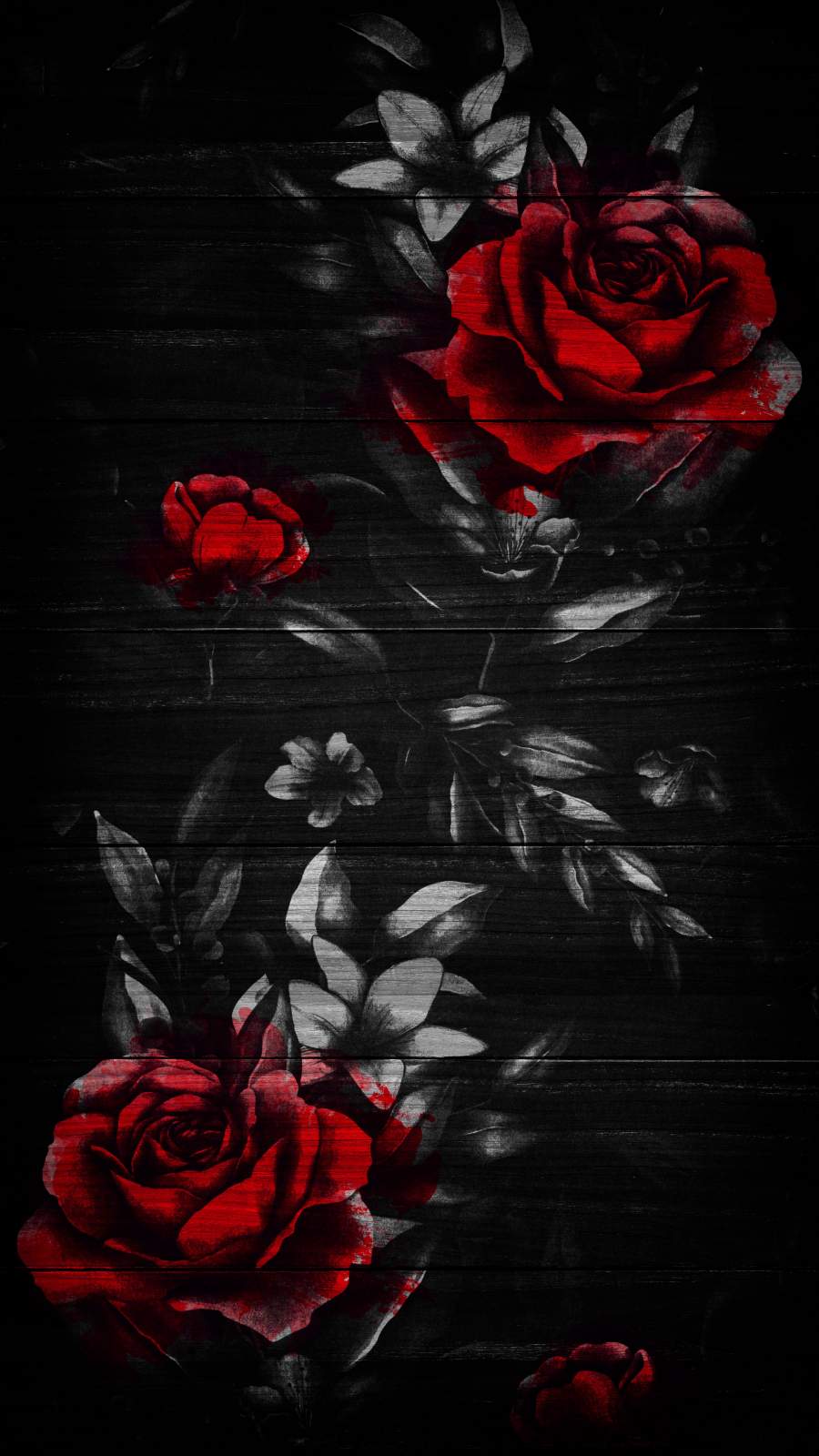 Red Roses Iphone Wallpapers