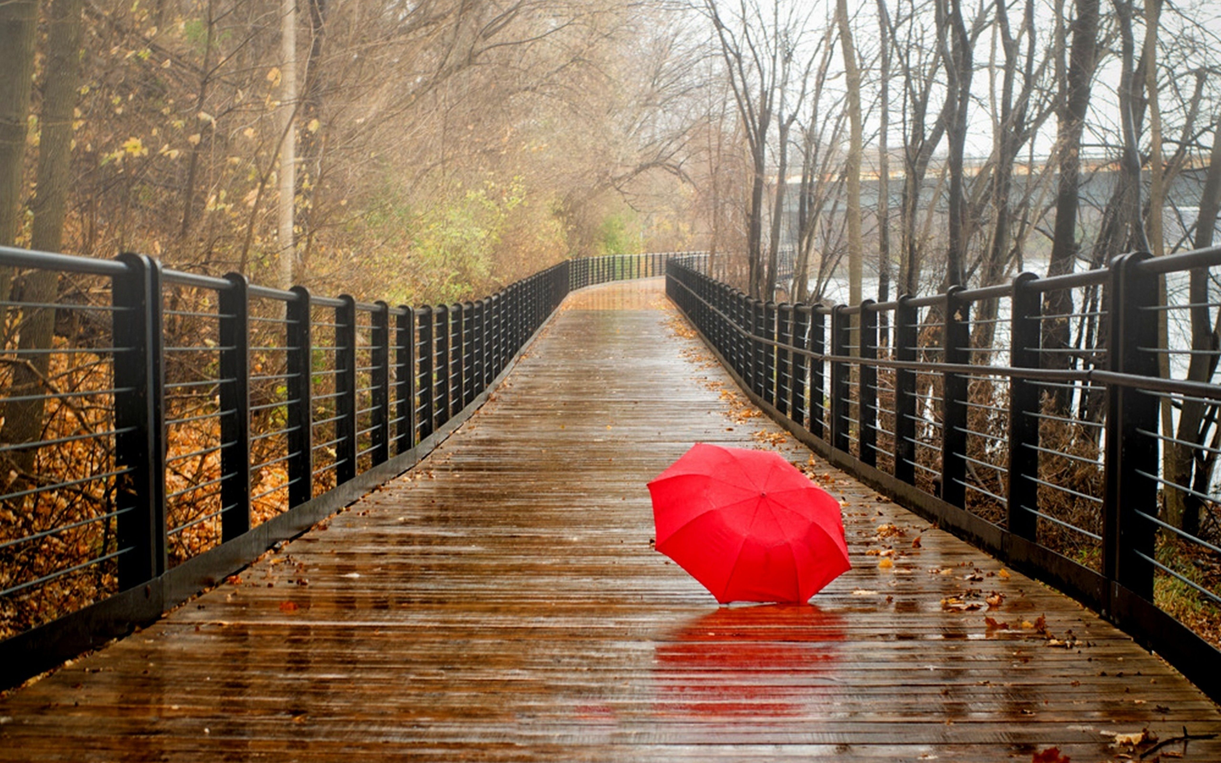 Red Umbrella Painting Wallpapers