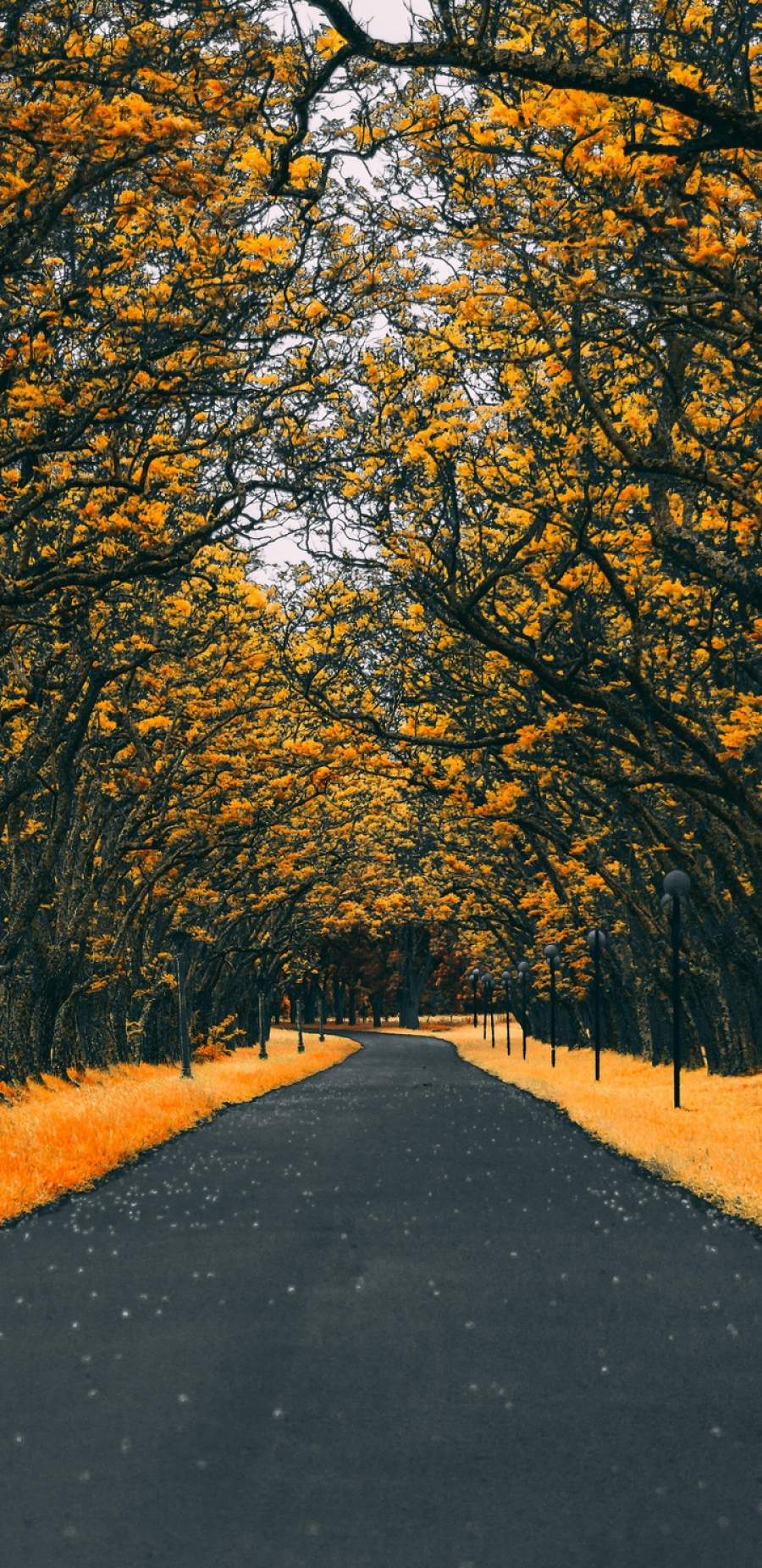 Road Iphone Wallpapers