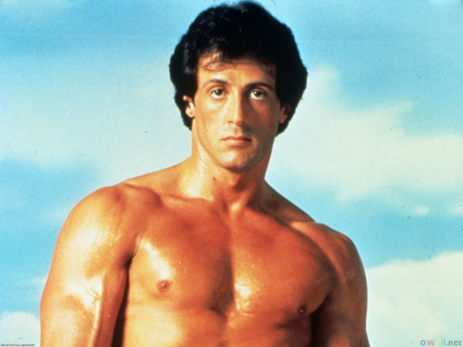 Rocky 3 Wallpapers