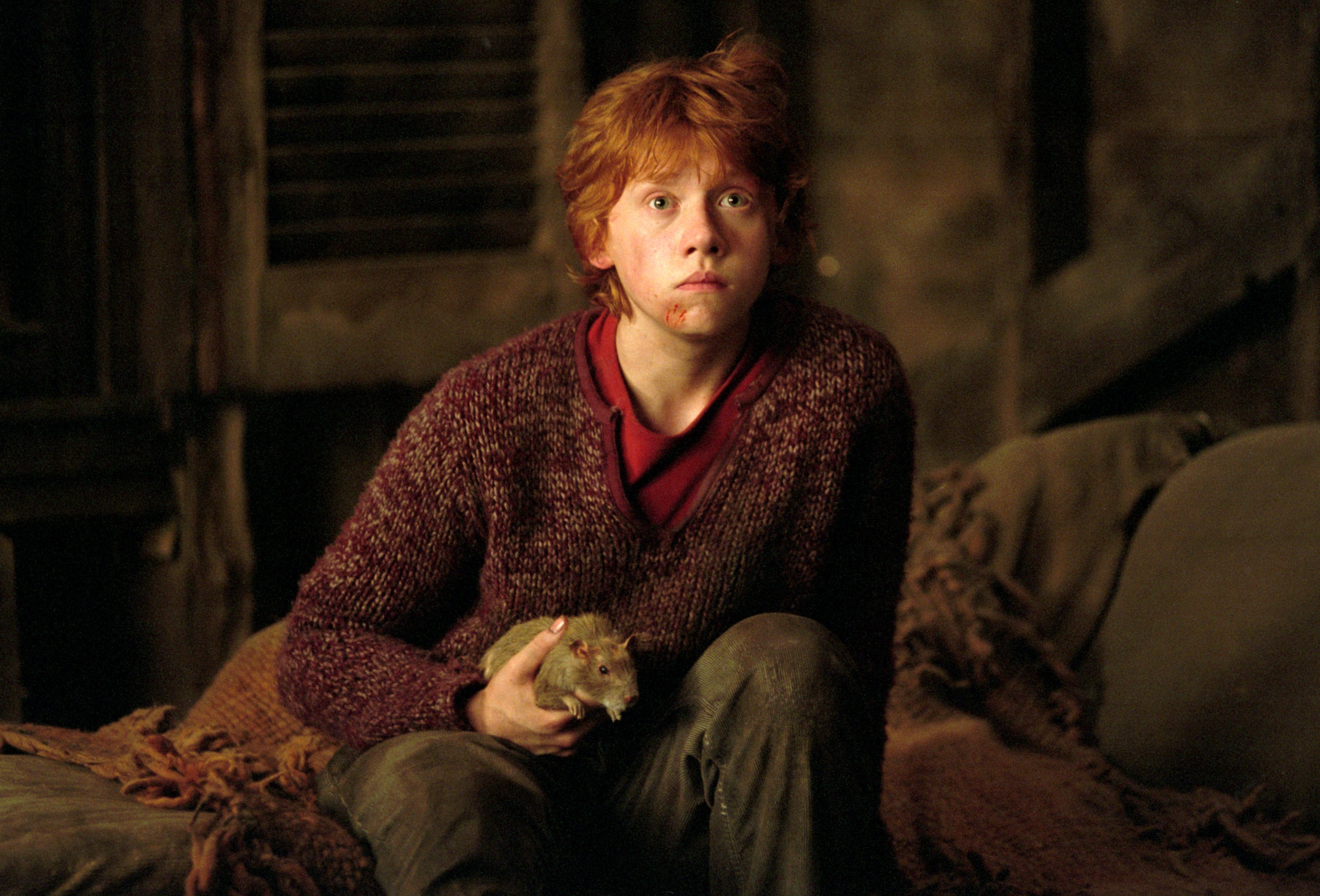 Ron Weasley Wallpapers