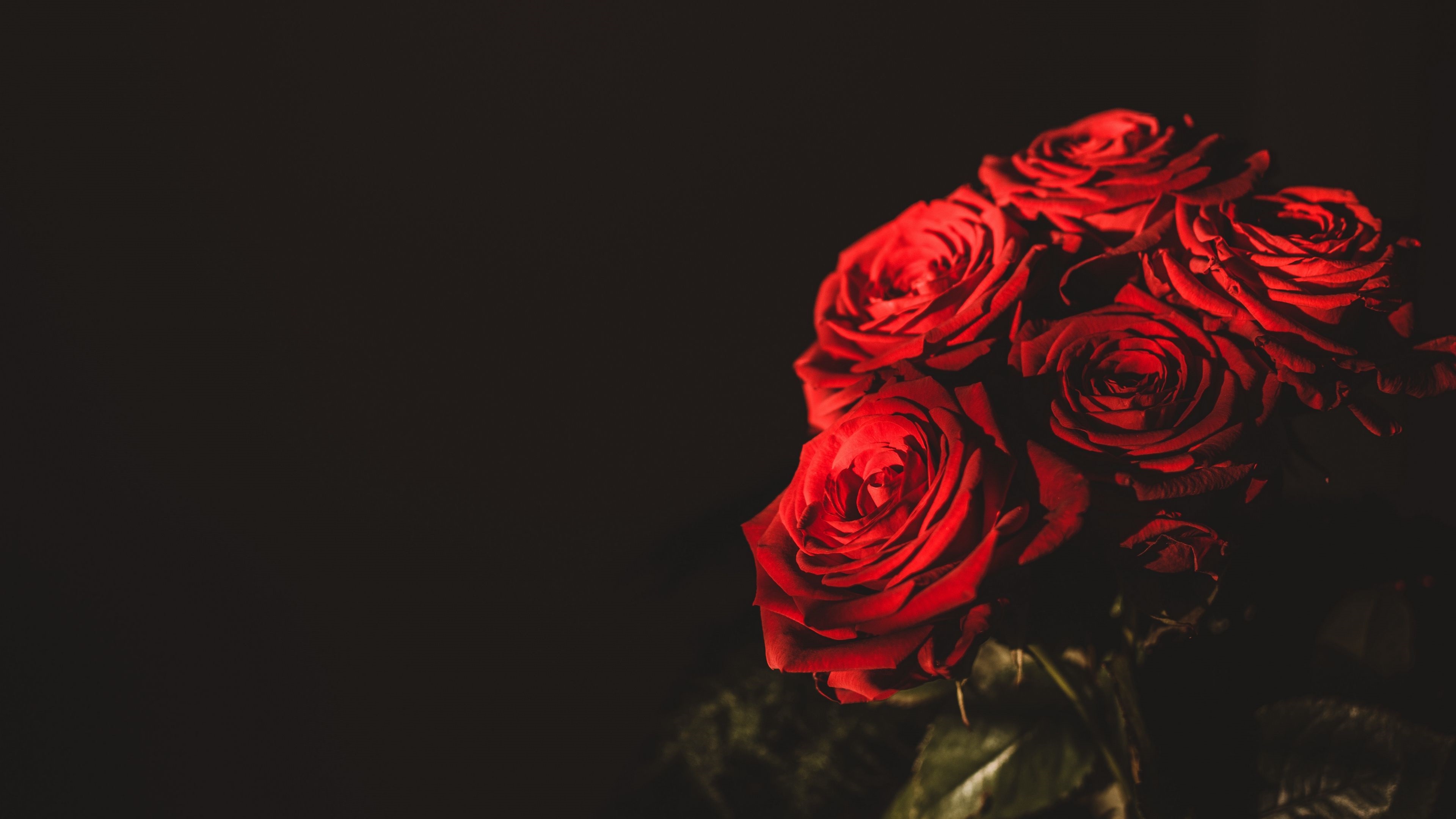 Rose Computer Wallpapers