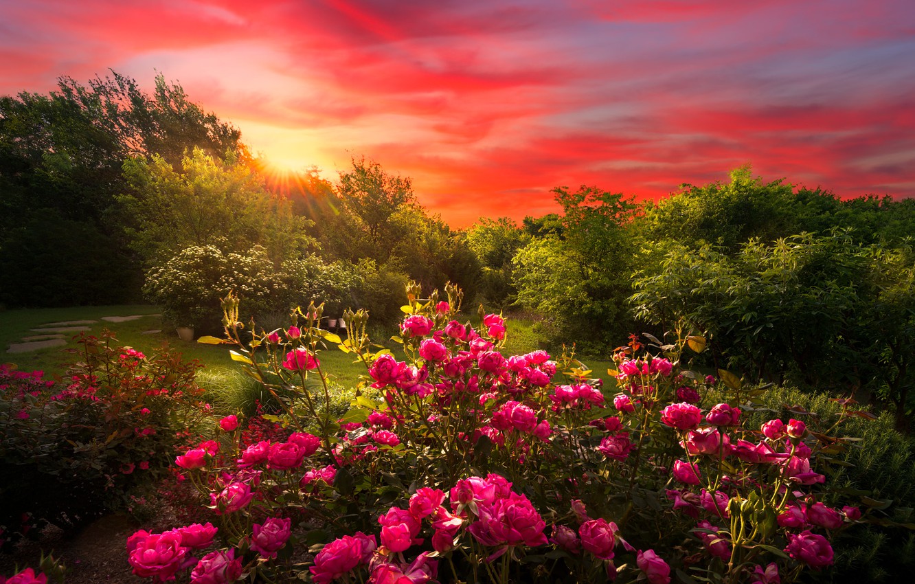 Rose Gardens Wallpapers