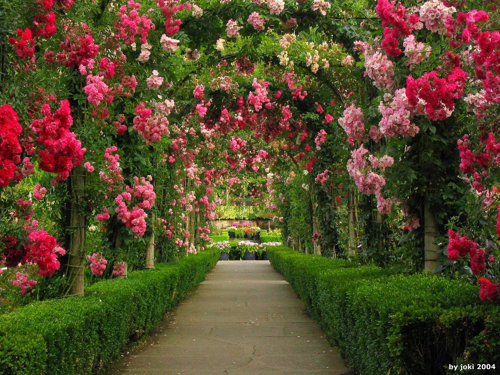 Rose Gardens Wallpapers