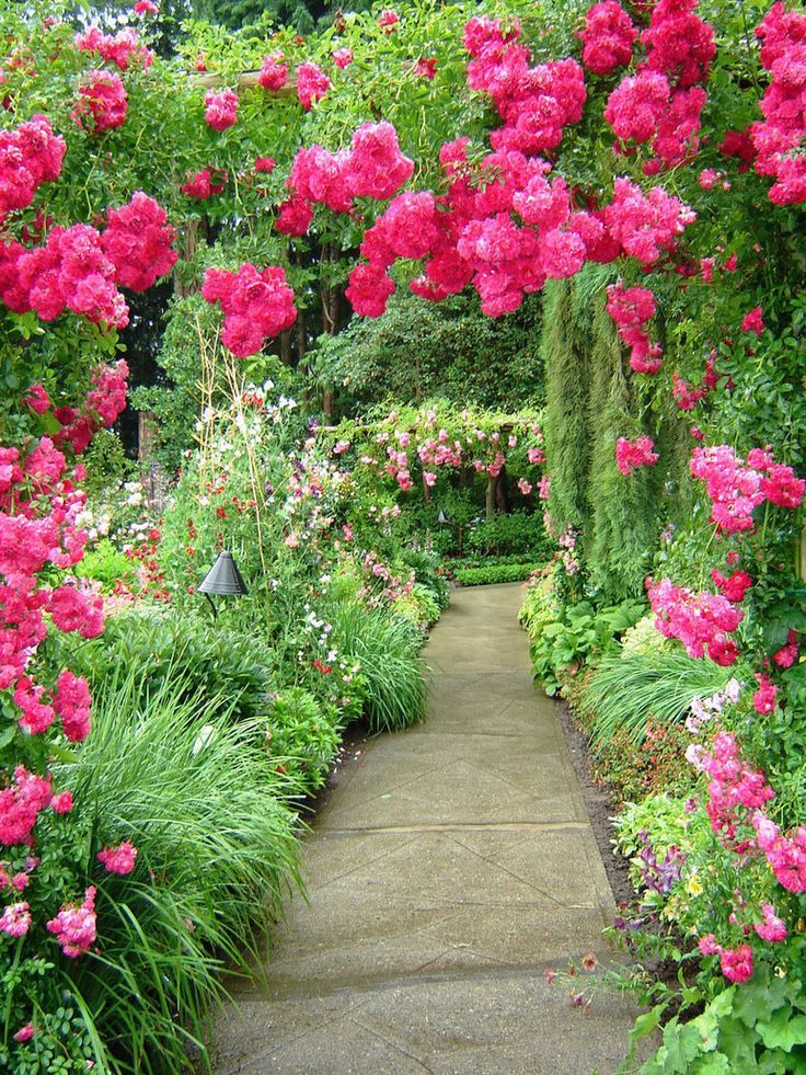 Rose Gardens Wallpapers