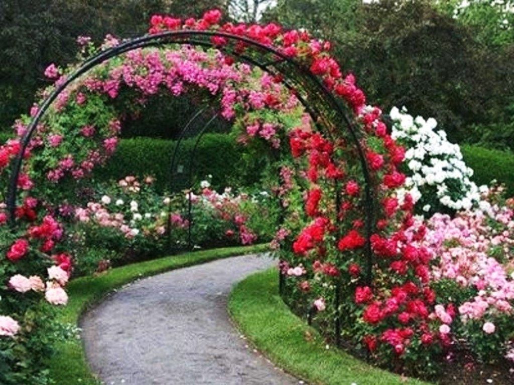 Rose Gardens Wallpapers