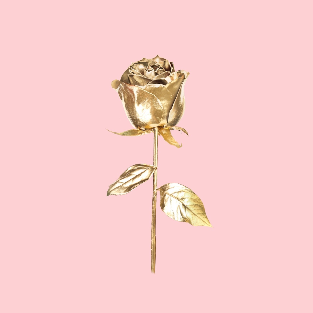 Rose Gold Pink Minimalist Wallpapers