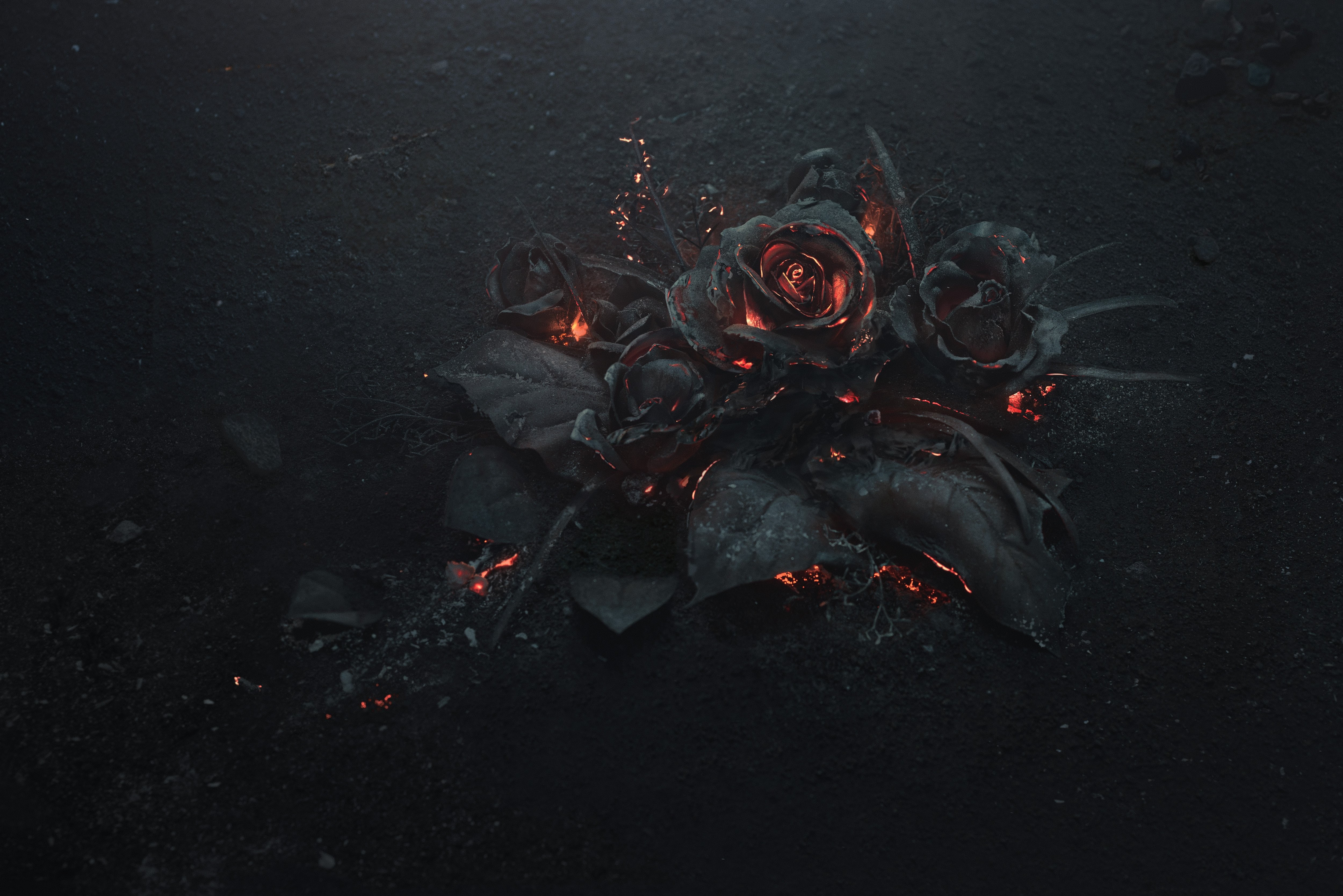 Rose On Fire Wallpapers