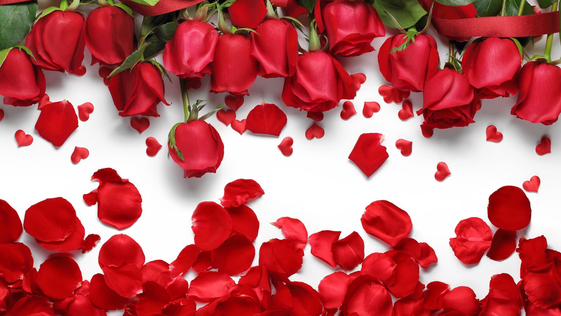 Rose Petals Wallpapers