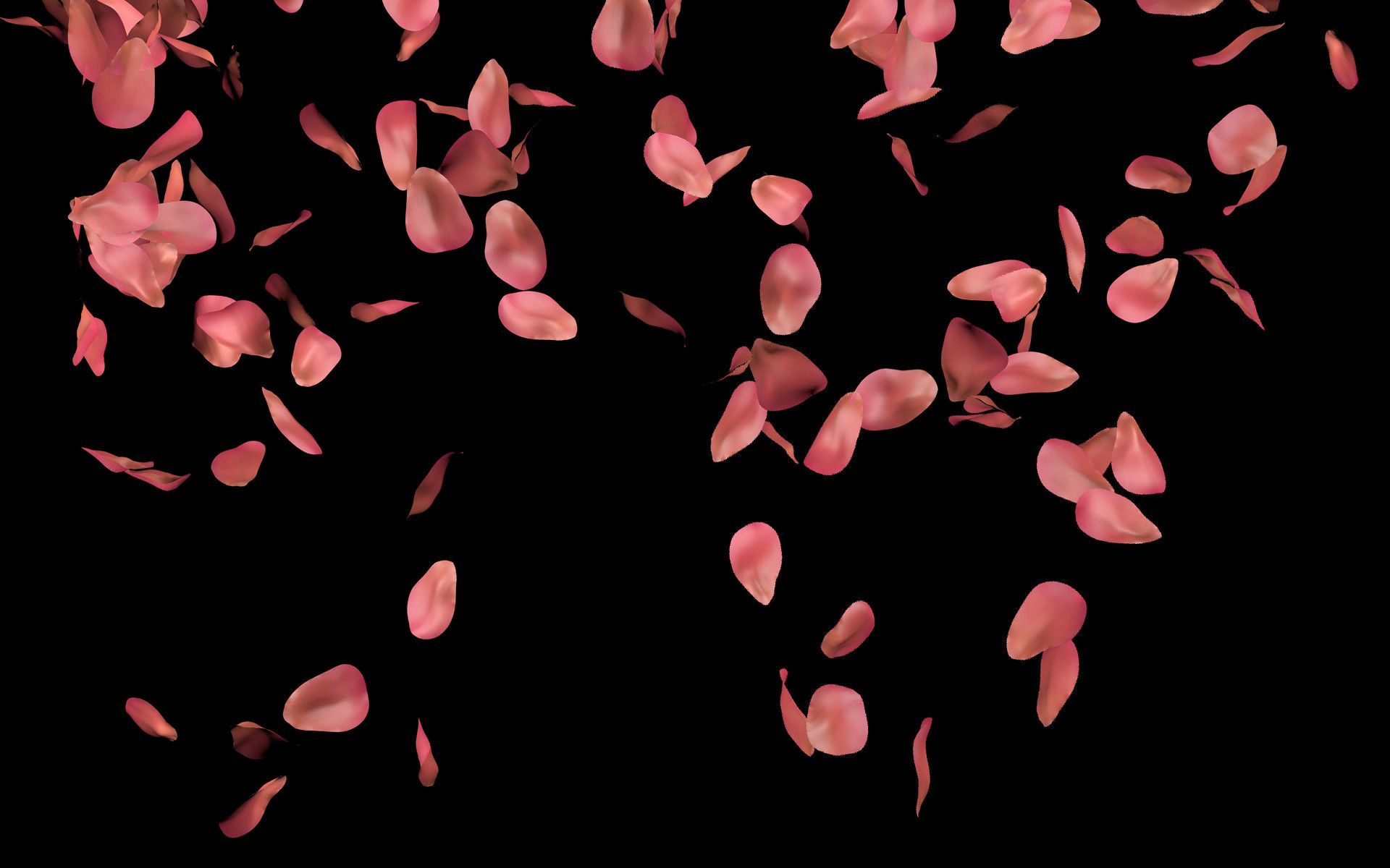 Rose Petals Wallpapers