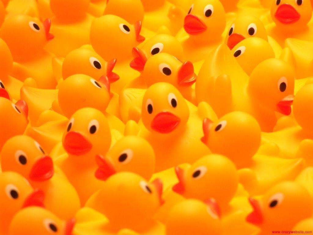 Rubber Ducky Wallpapers