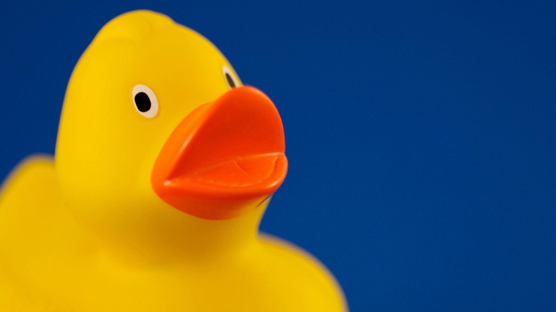 Rubber Ducky Wallpapers