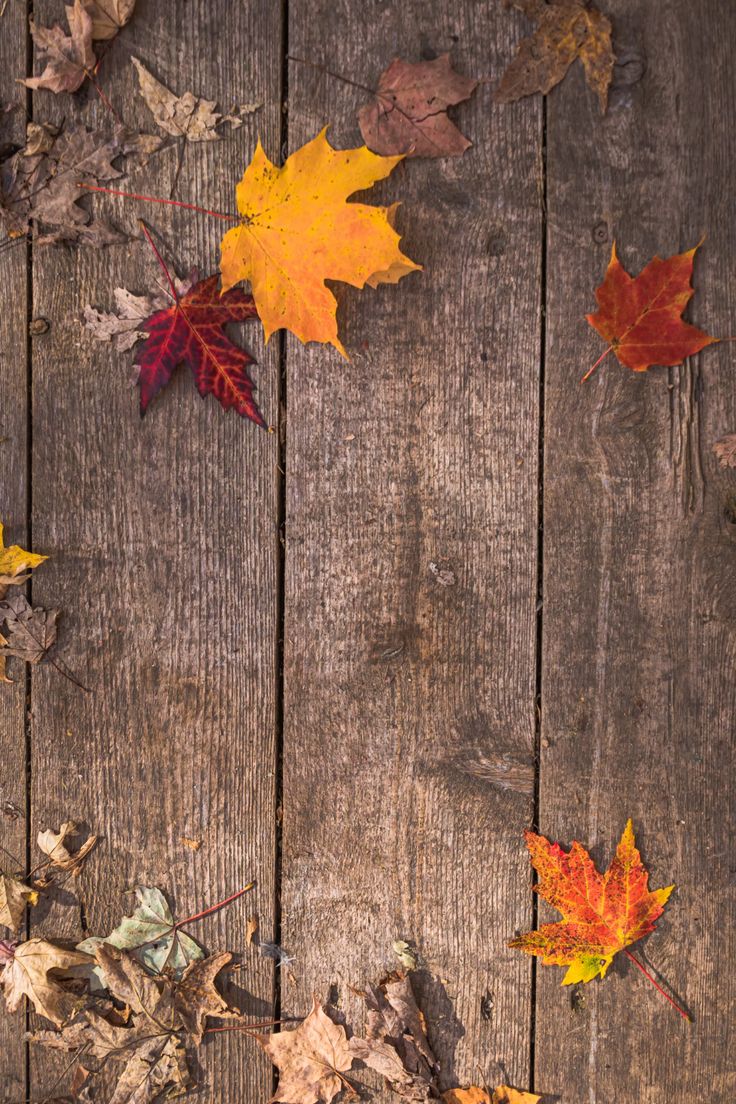 Rustic Fall Wallpapers