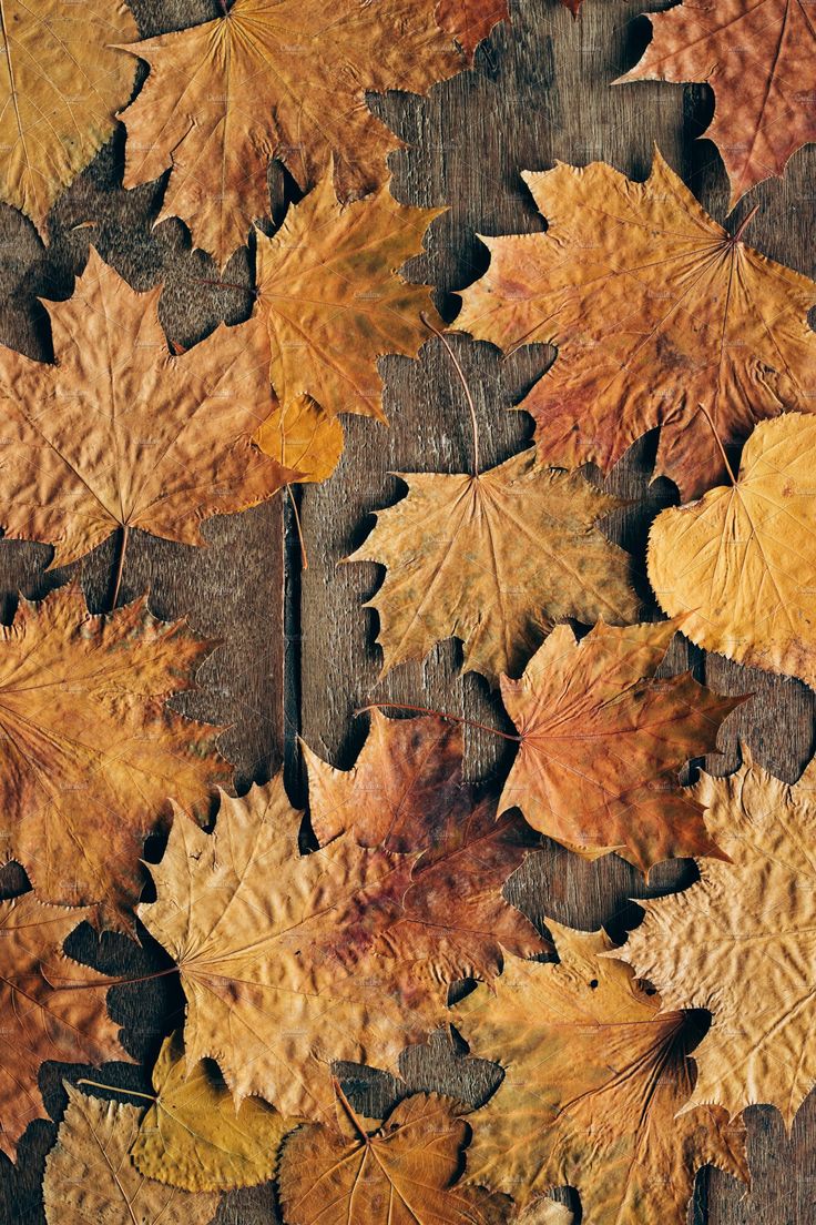 Rustic Fall Wallpapers