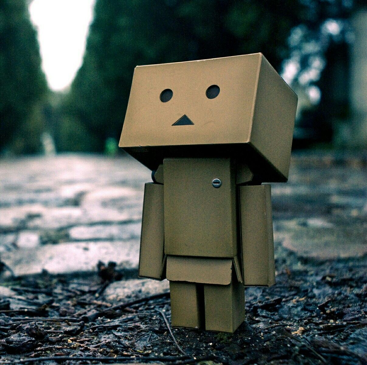 Sad Boxman Wallpapers