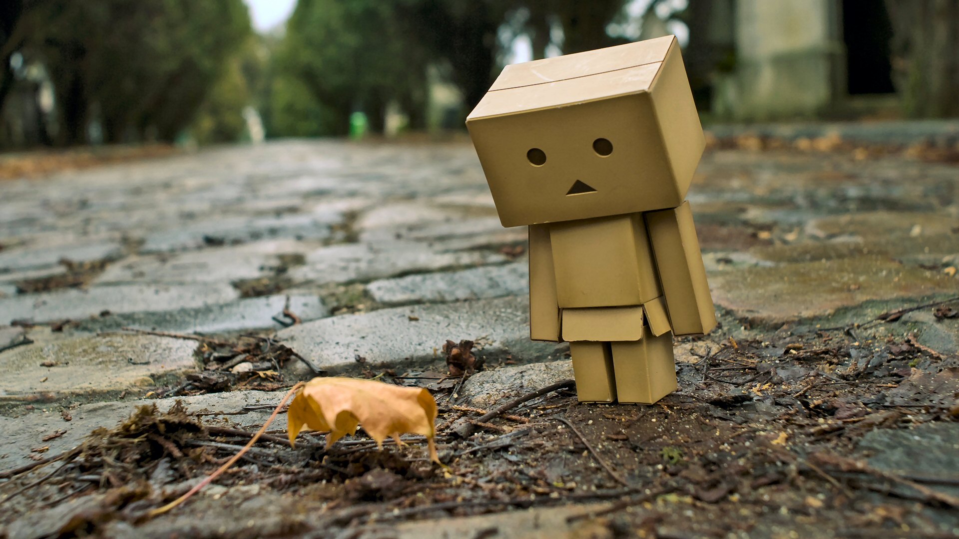 Sad Boxman Wallpapers