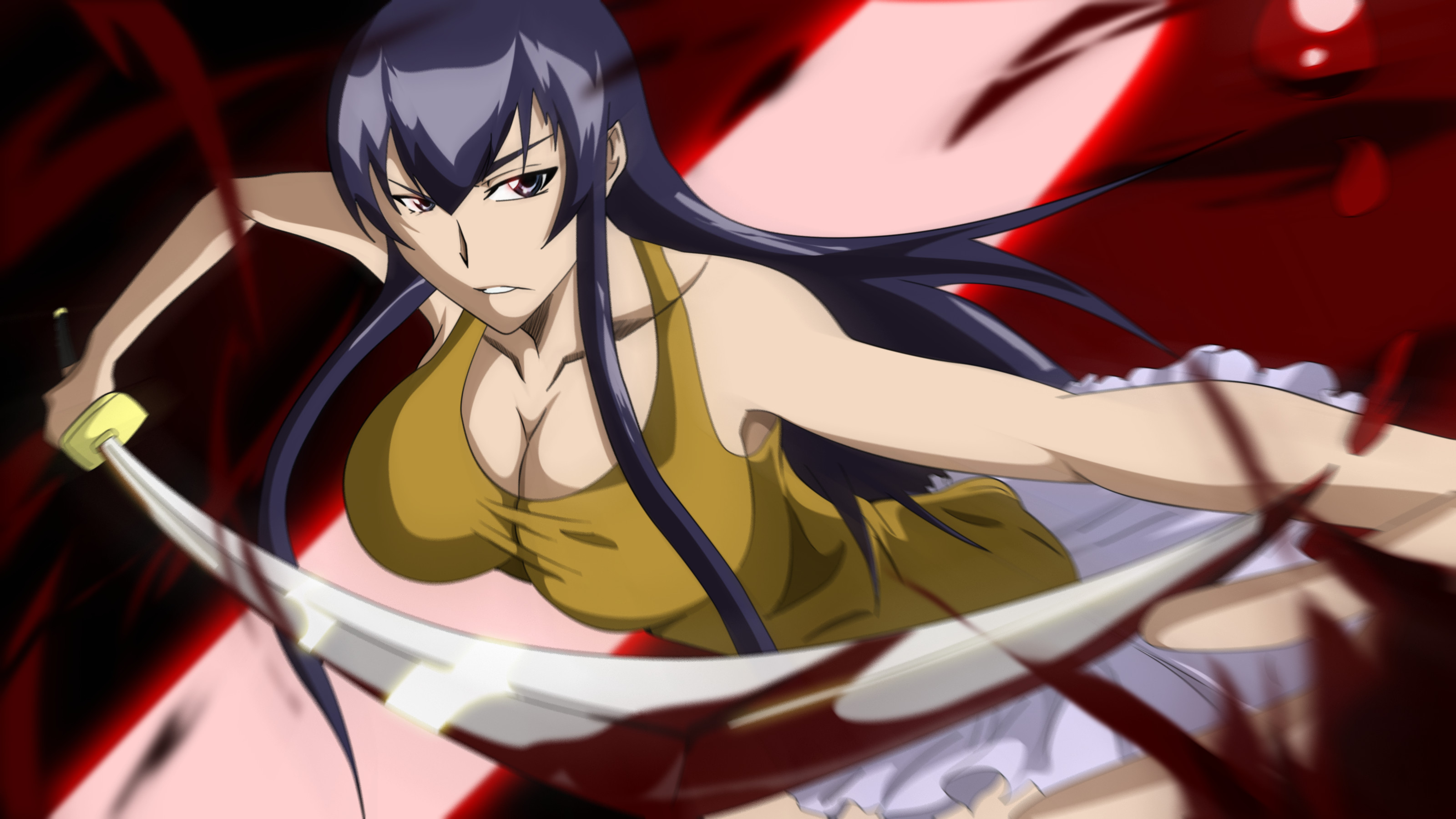 Saeko Busujima Wallpapers