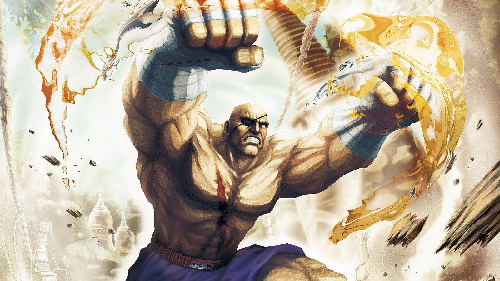 Sagat Wallpapers