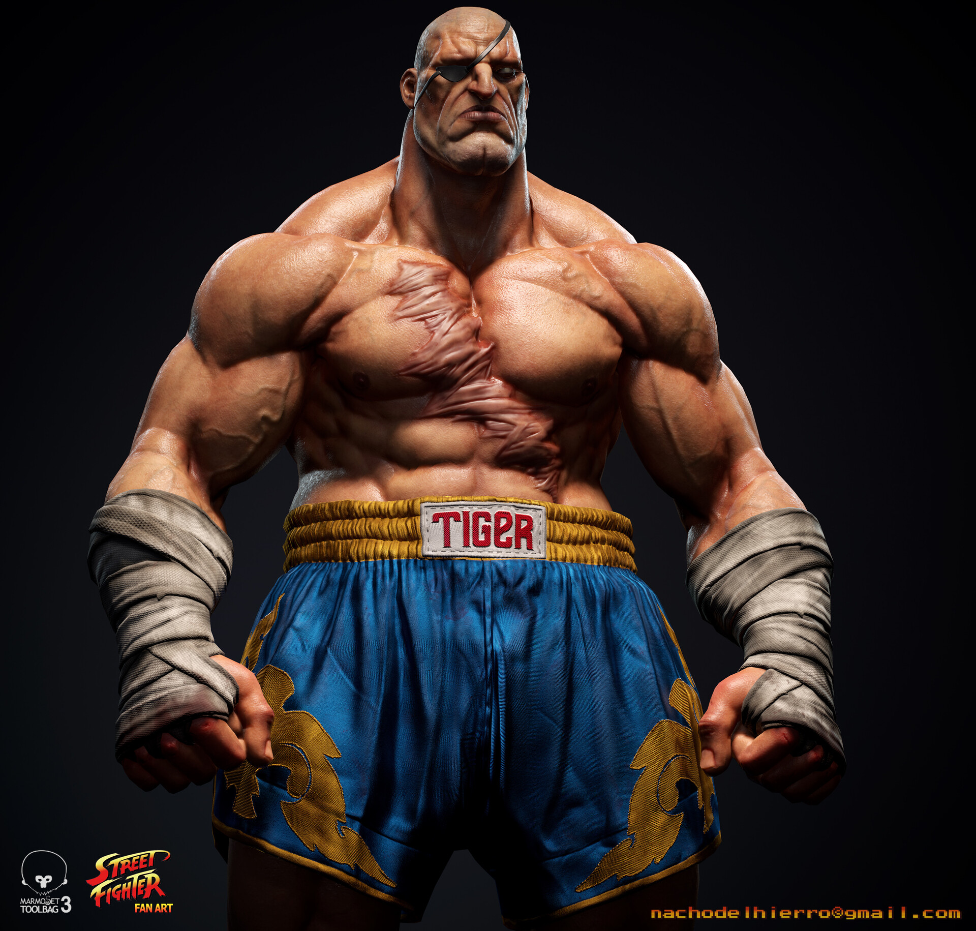 Sagat Wallpapers