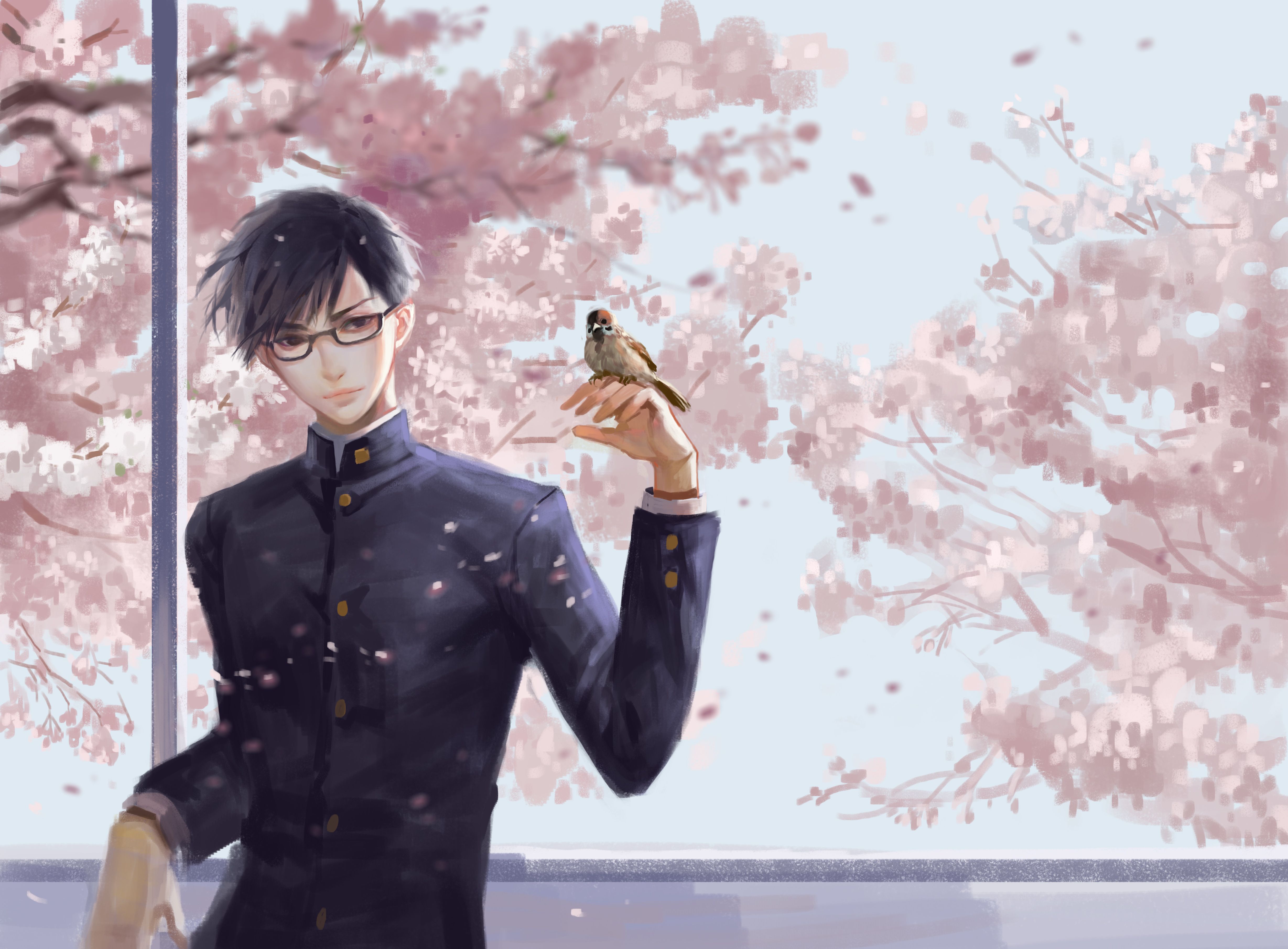 Sakamoto Wallpapers