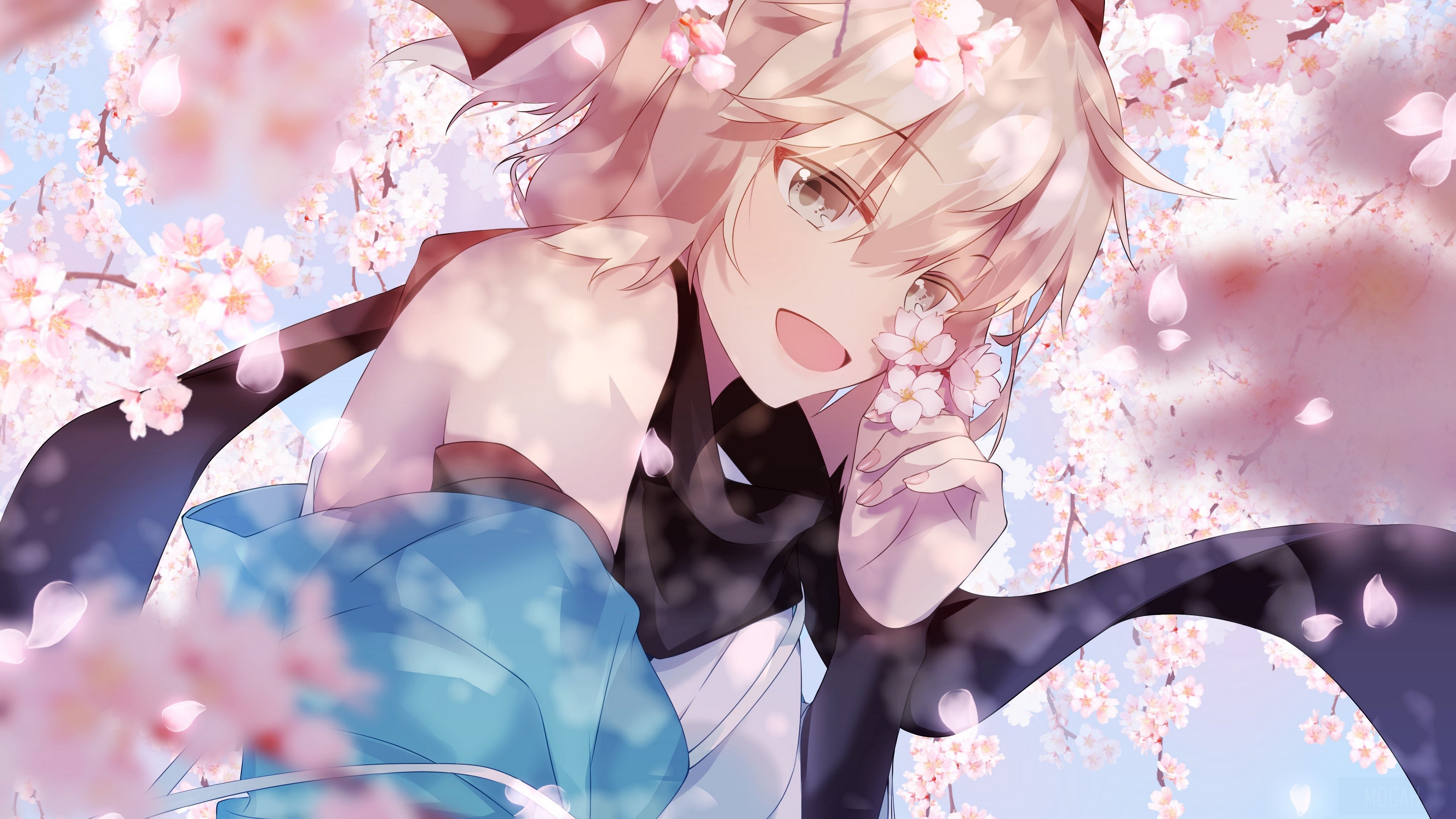 Sakura Saber Wallpapers