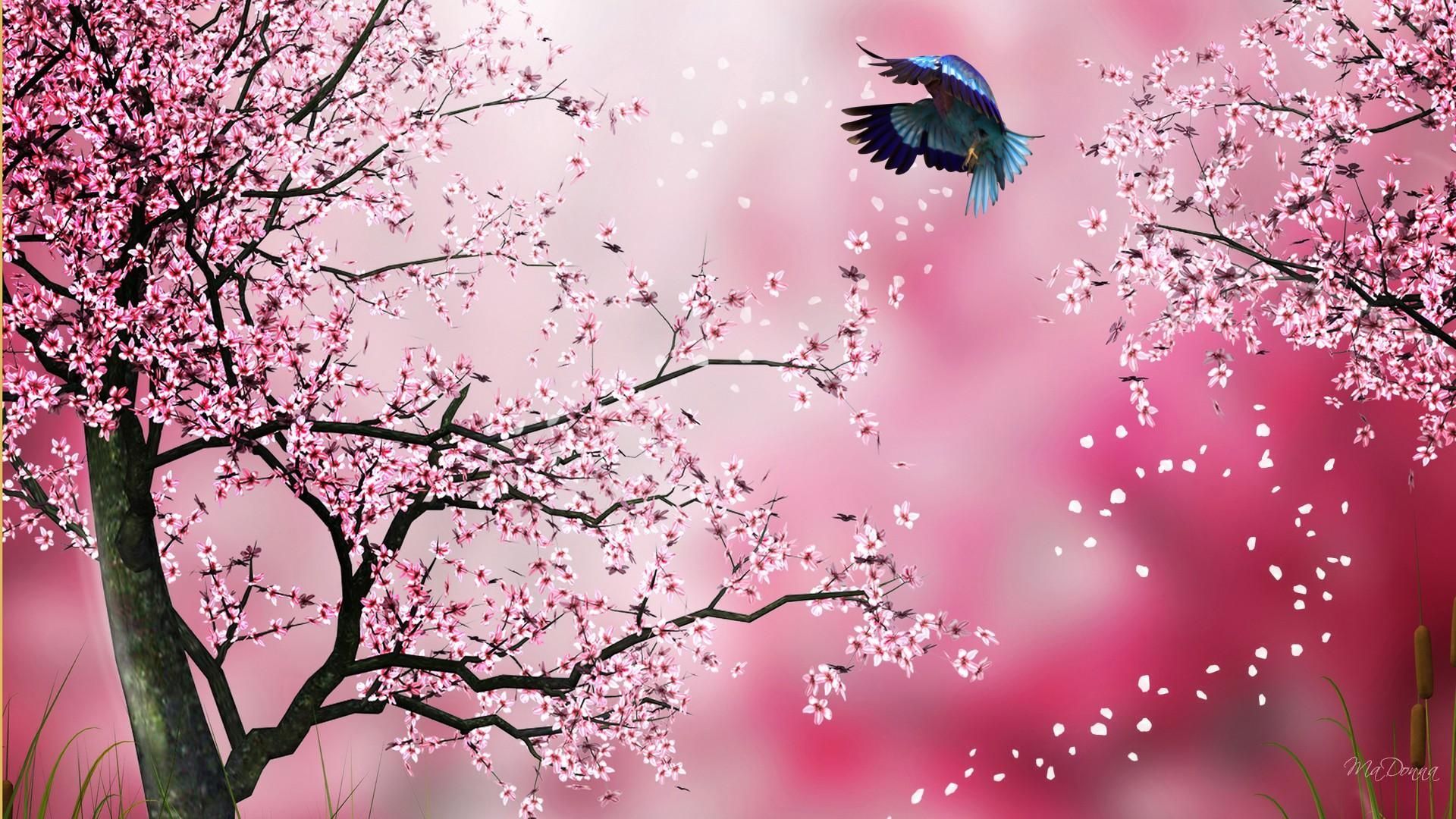 Sakura Hd Wallpapers