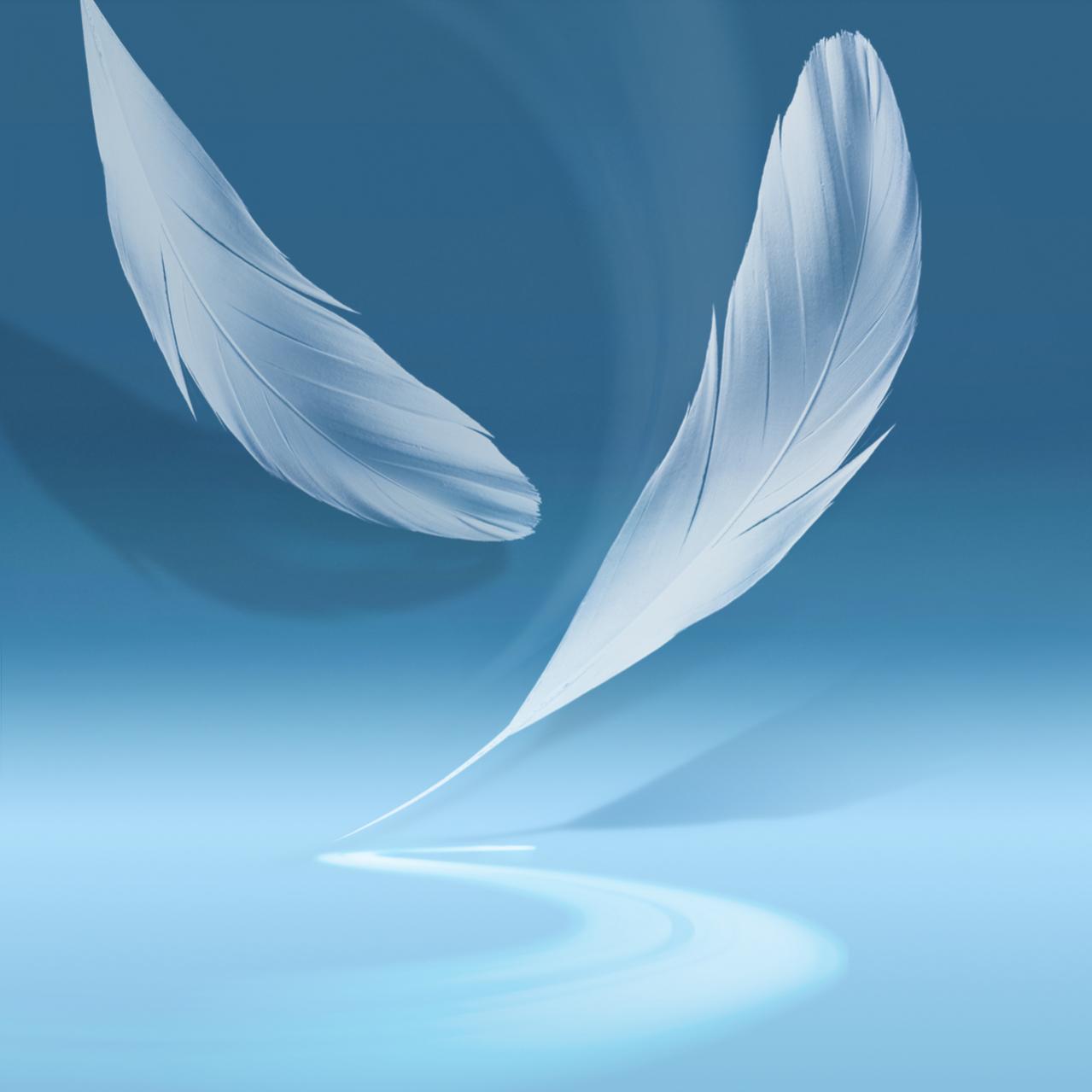 Samsung Galaxy Note Wallpapers