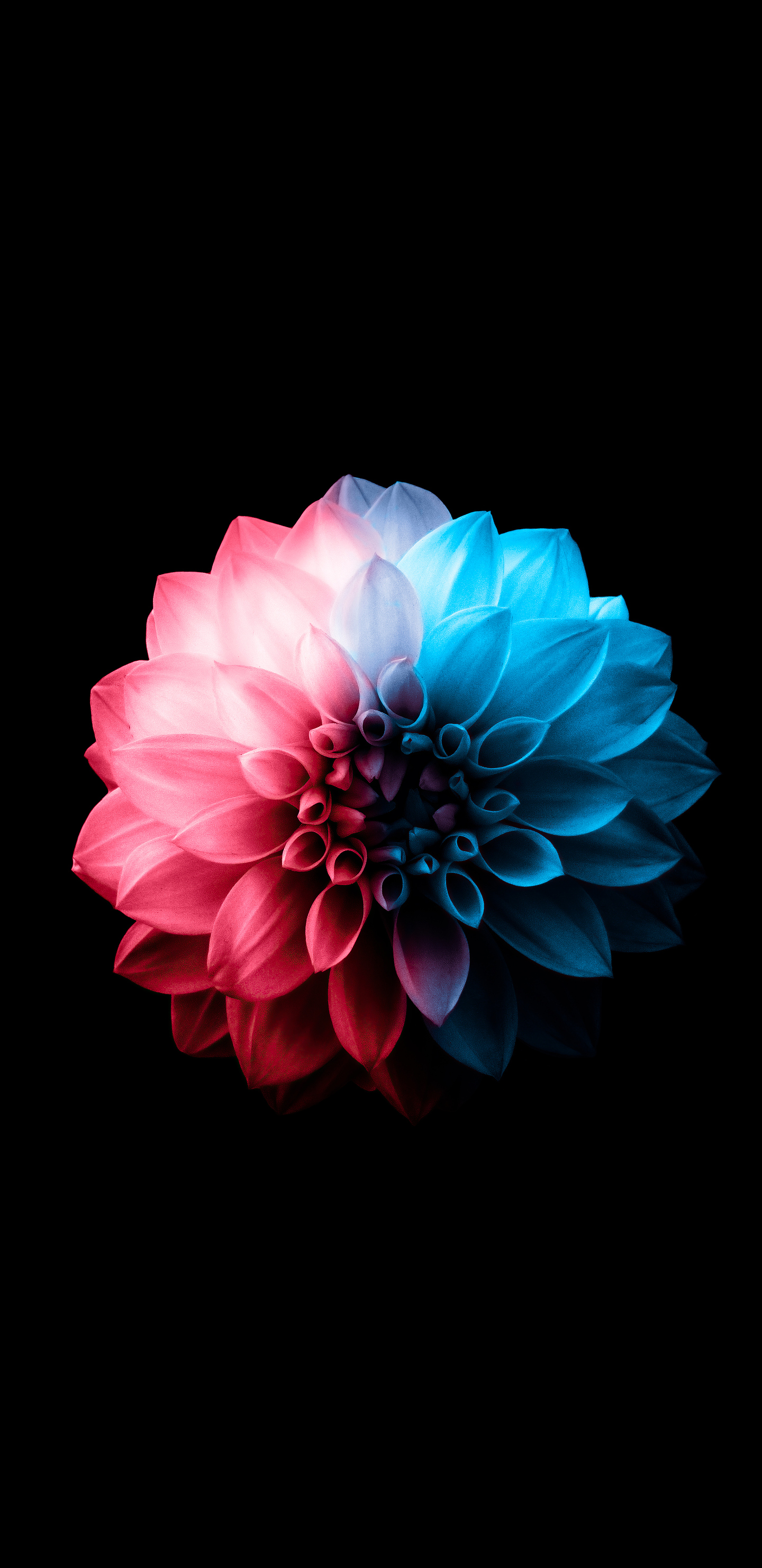 Samsung Oled Wallpapers