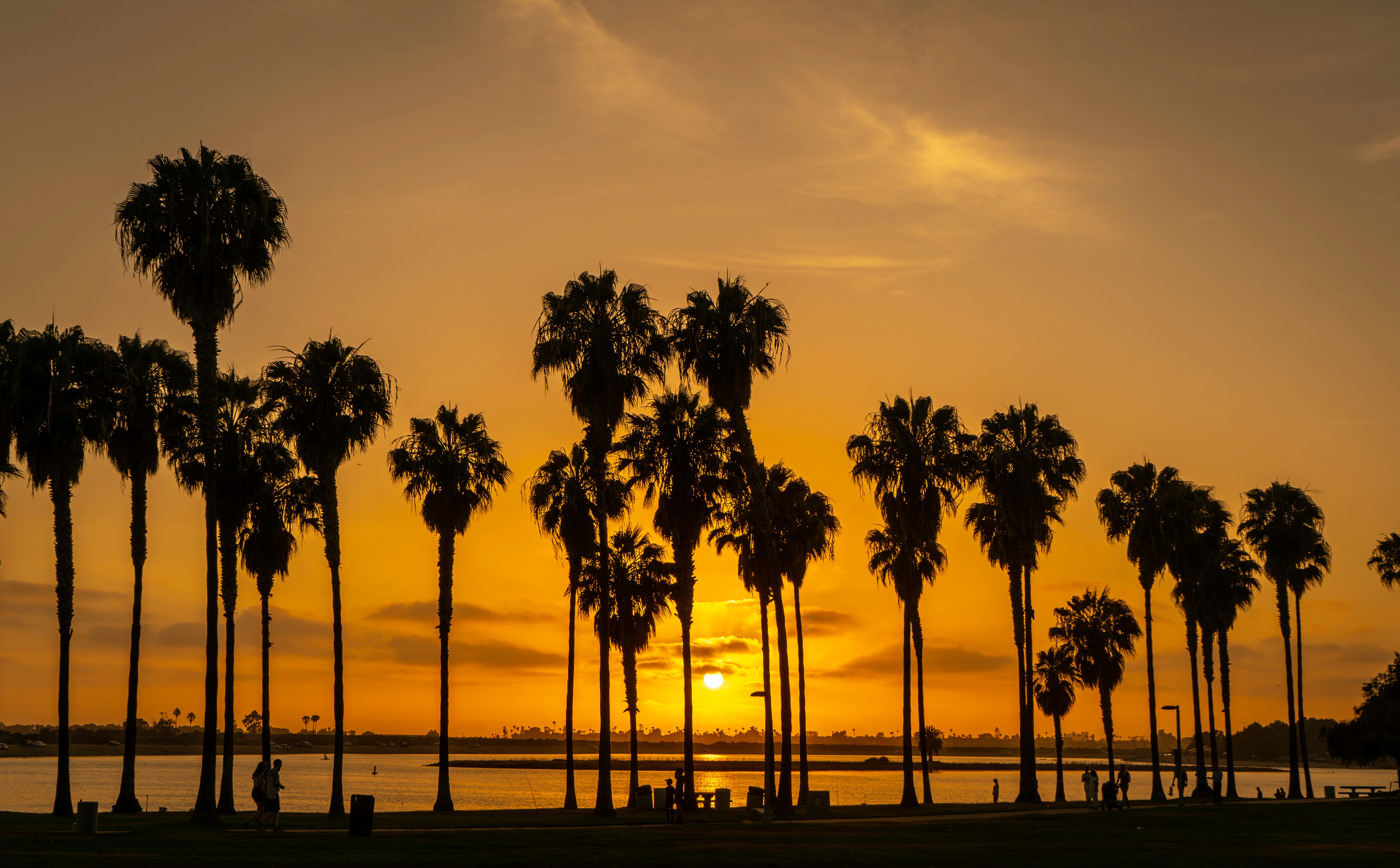 San Diego Beach Wallpapers