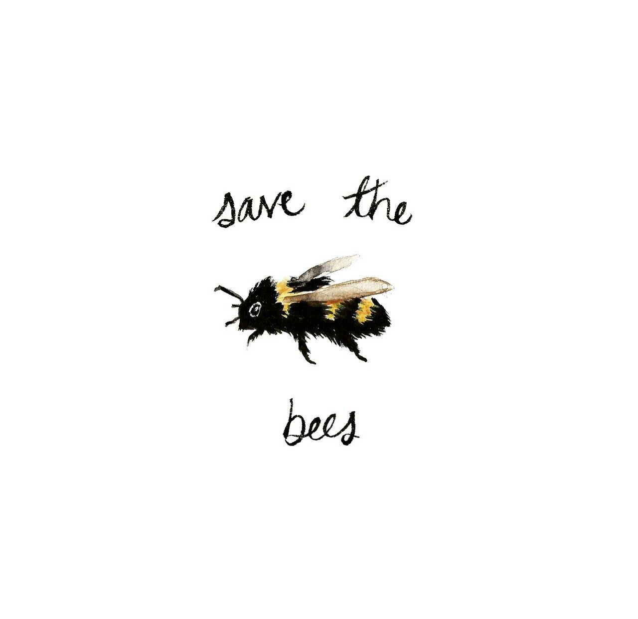 Save The Bees Wallpapers
