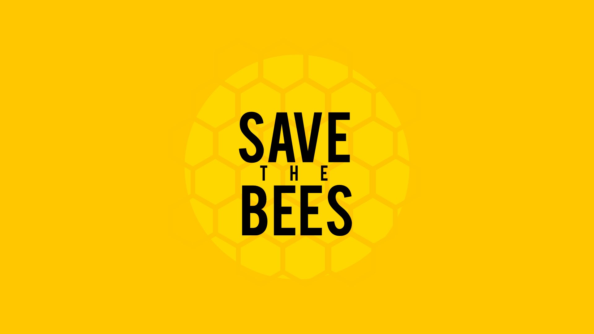 Save The Bees Wallpapers