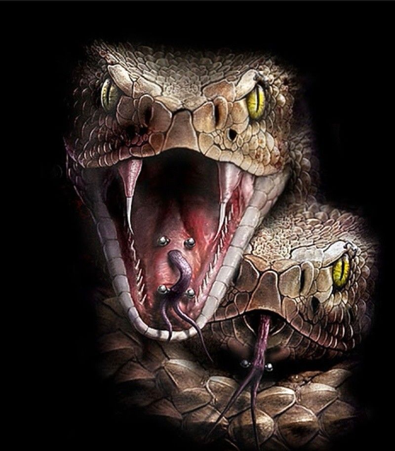 Scary Snakes Wallpapers